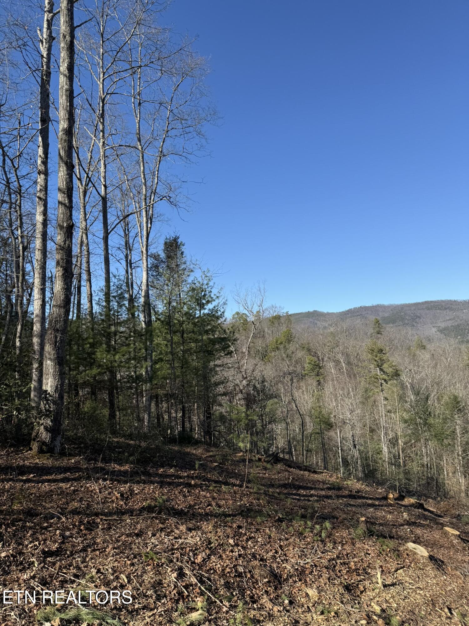 Lot# 6 Journeys End Road Walland TN 37886