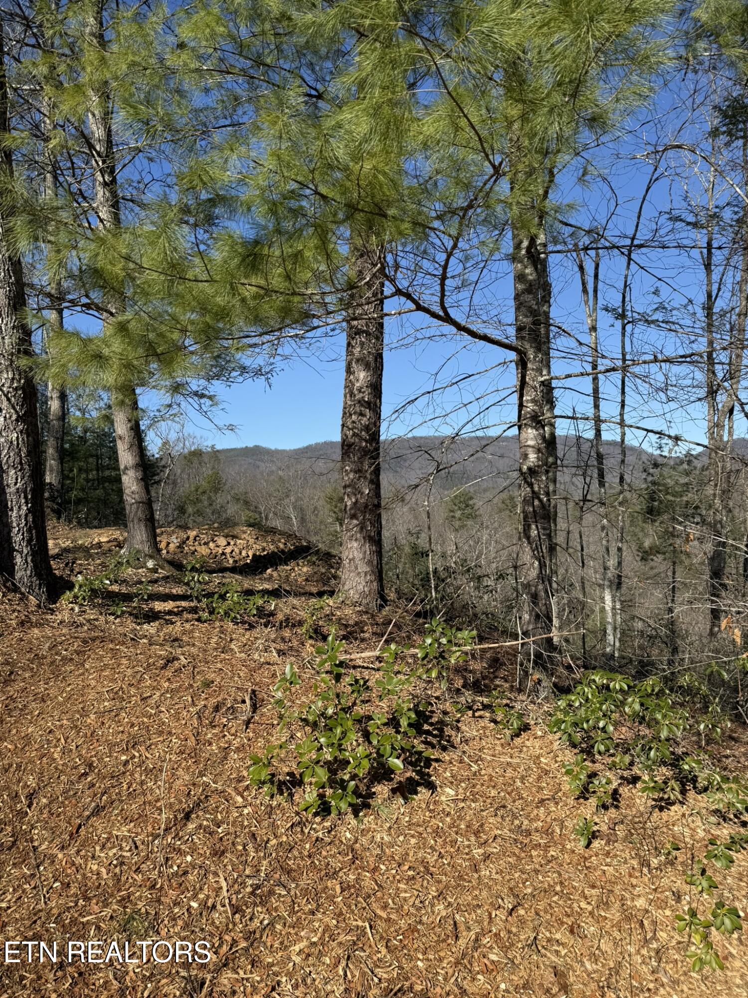 Lot# 6 Journeys End Road Walland TN 37886