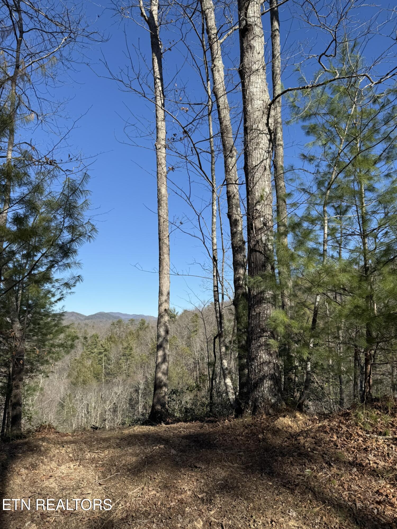 Lot# 6 Journeys End Road Walland TN 37886