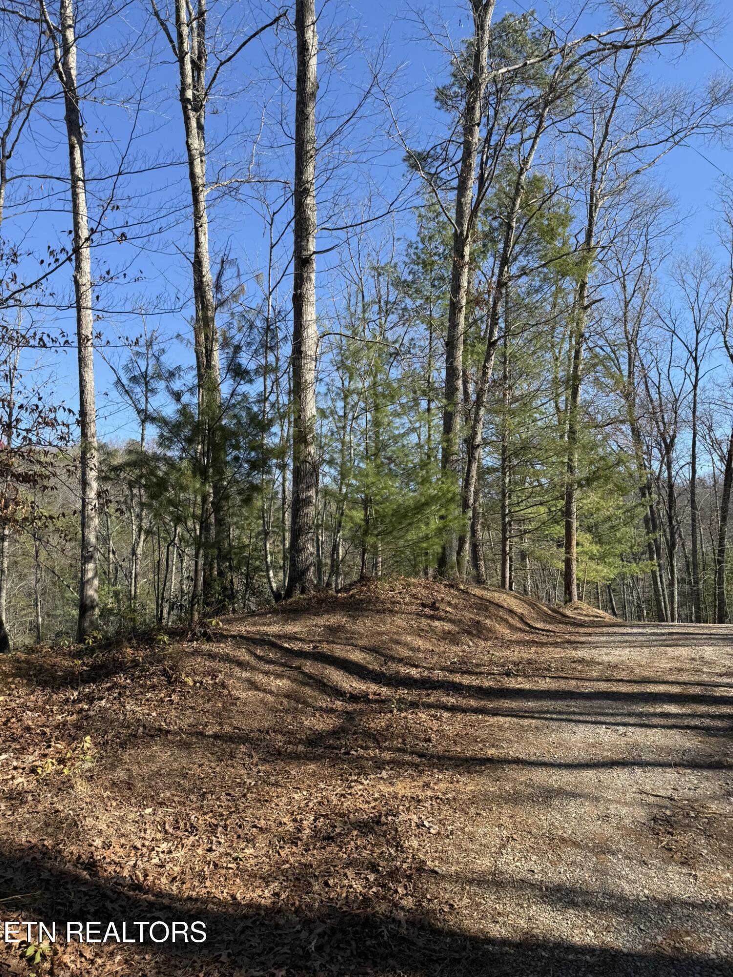 Lot# 6 Journeys End Road Walland TN 37886