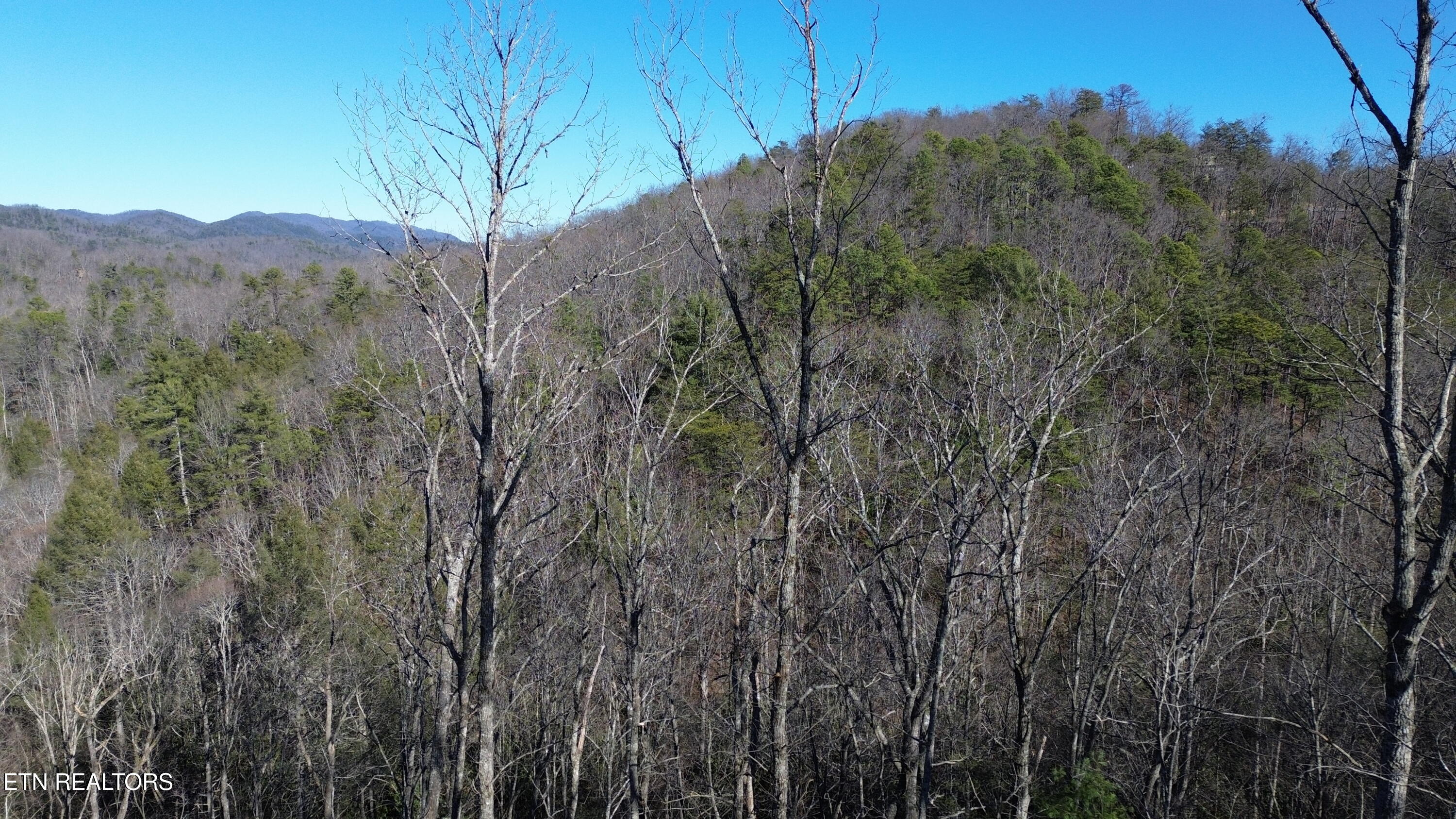 Lot# 6 Journeys End Road Walland TN 37886