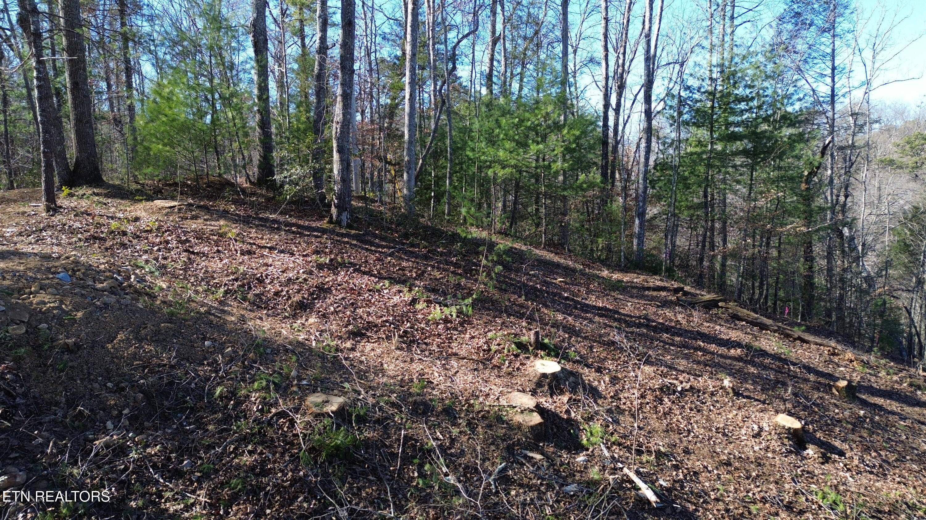Lot# 6 Journeys End Road Walland TN 37886