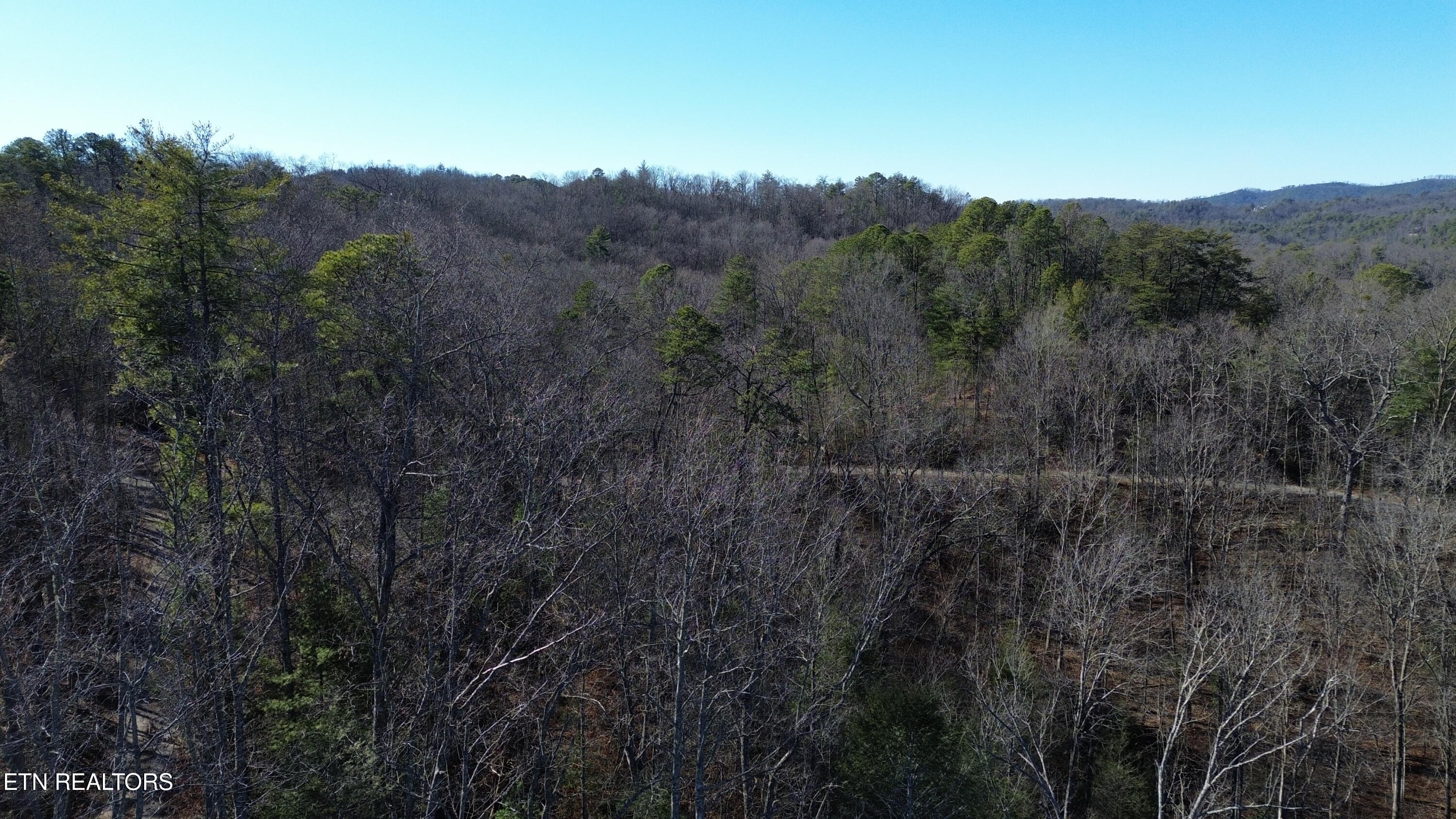 Lot# 6 Journeys End Road Walland TN 37886