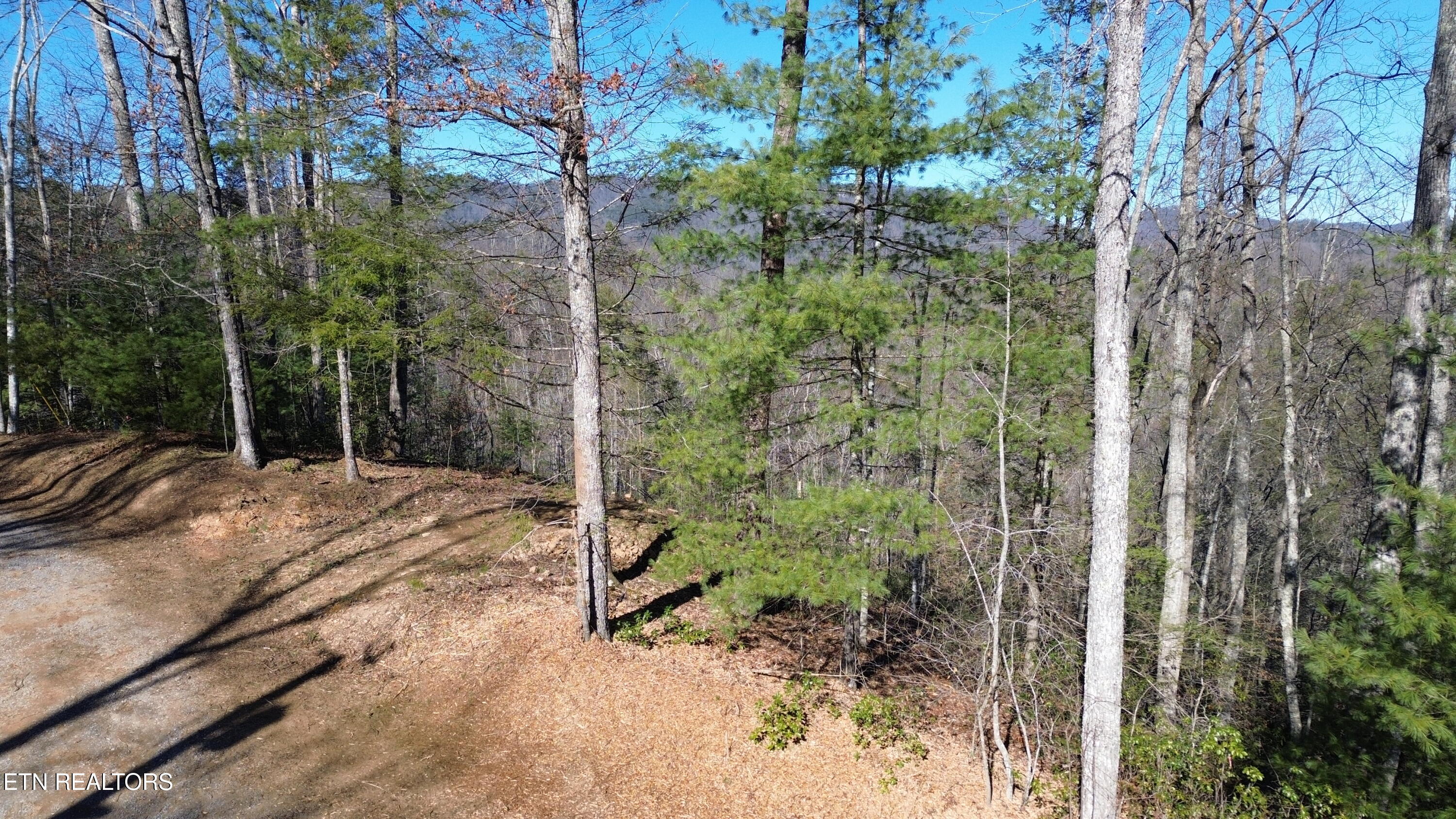 Lot# 6 Journeys End Road Walland TN 37886