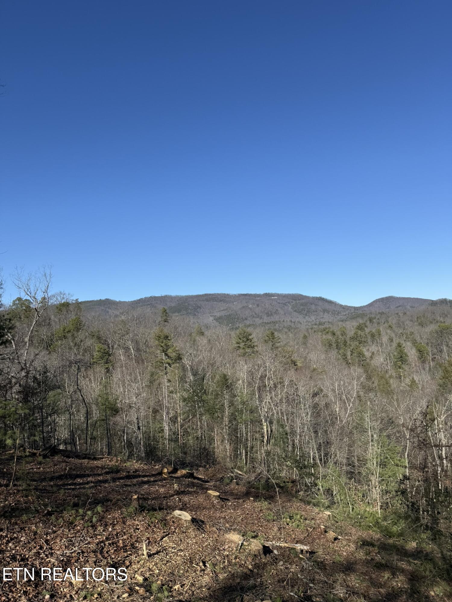 Lot# 6 Journeys End Road Walland TN 37886