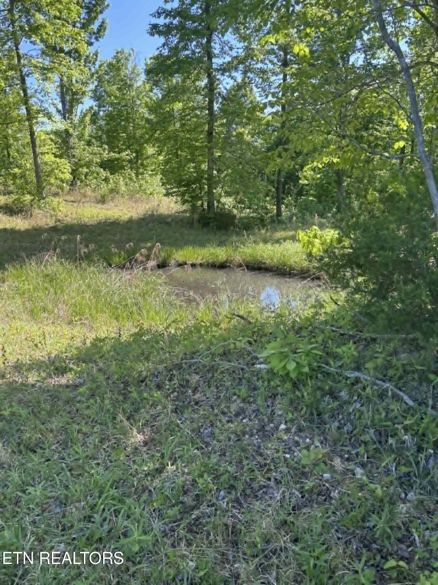 407 Earl Maples Lane Tazewell TN 37879