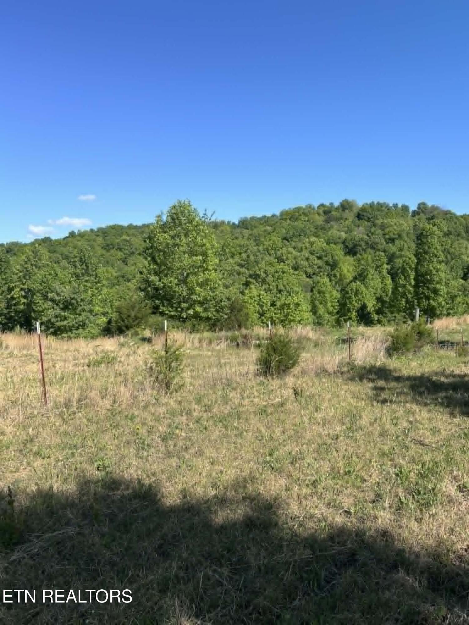 407 Earl Maples Lane Tazewell TN 37879