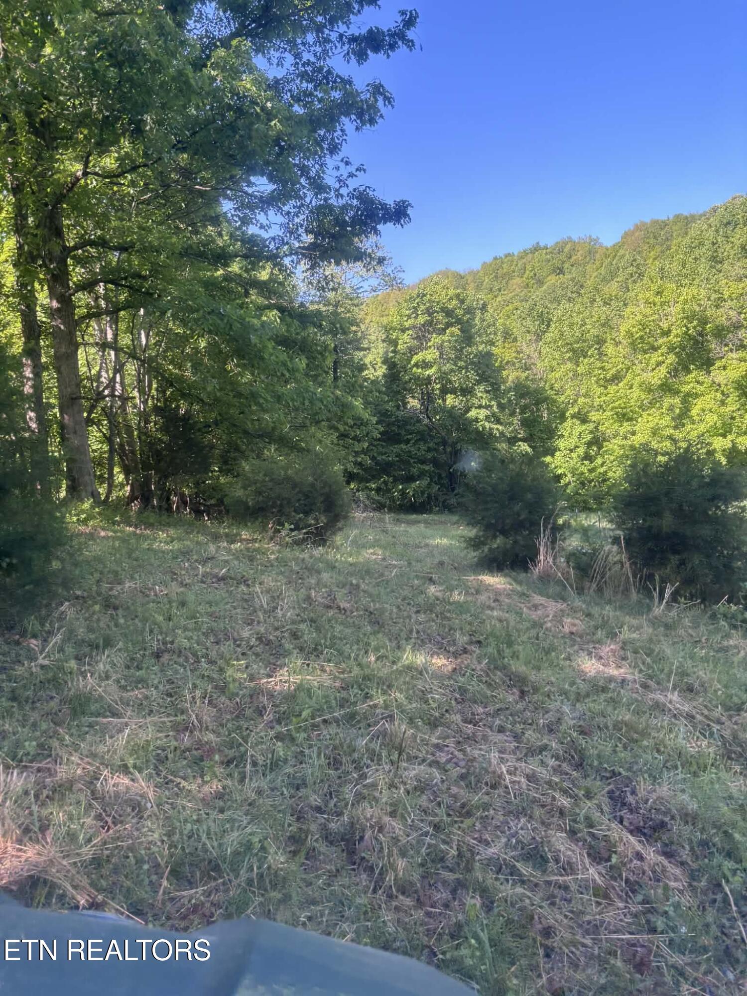 407 Earl Maples Lane Tazewell TN 37879