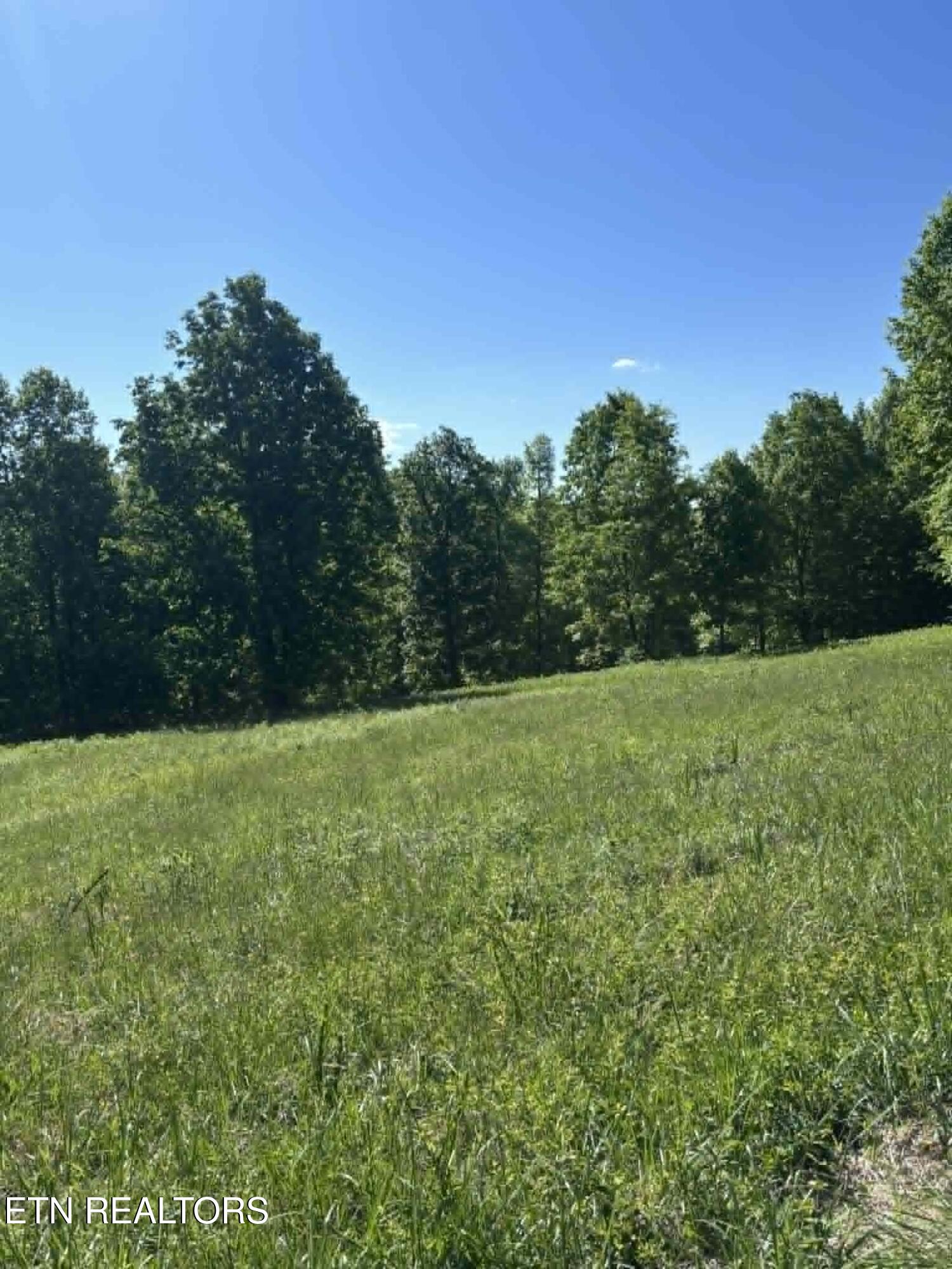407 Earl Maples Lane Tazewell TN 37879