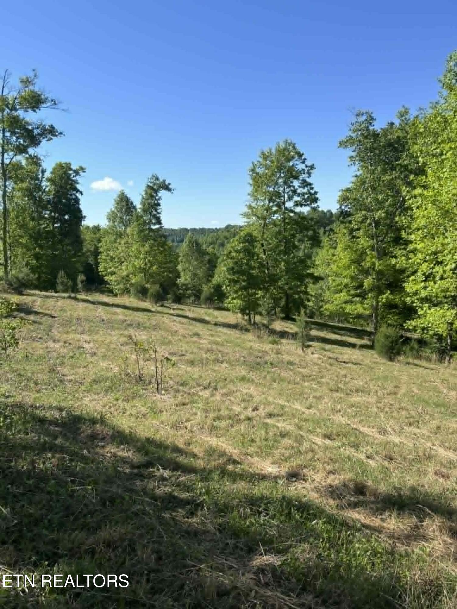 407 Earl Maples Lane Tazewell TN 37879