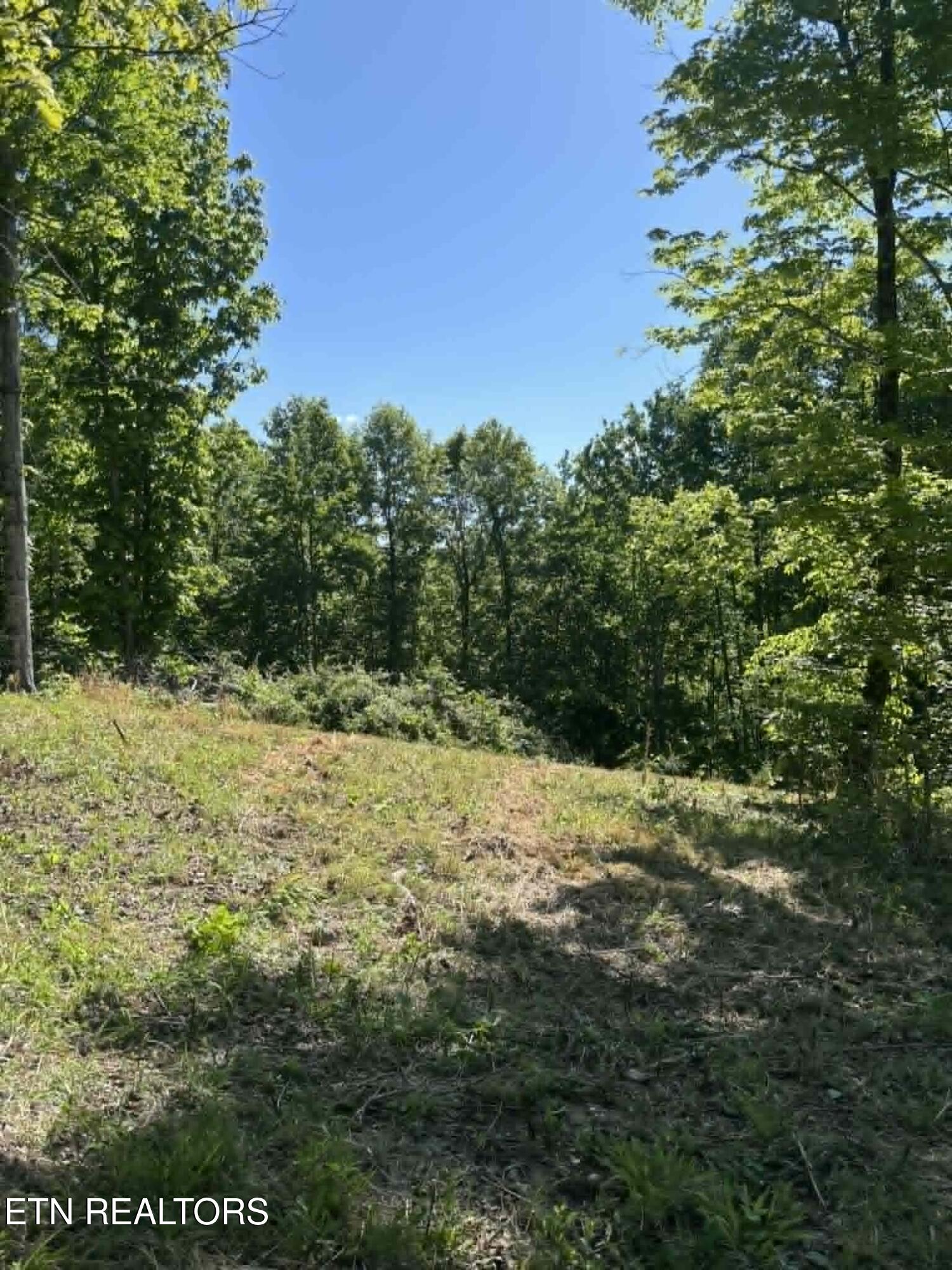 407 Earl Maples Lane Tazewell TN 37879