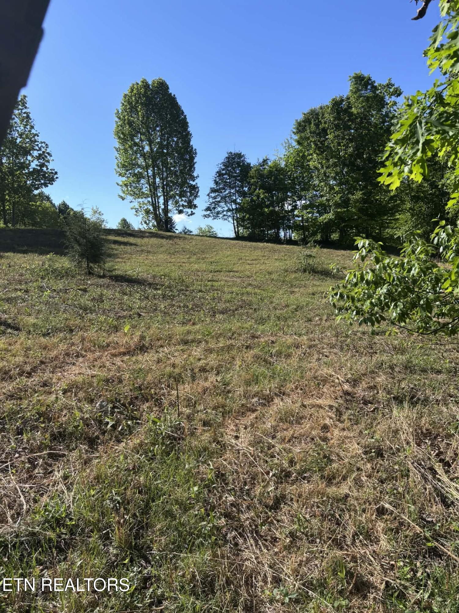 407 Earl Maples Lane Tazewell TN 37879