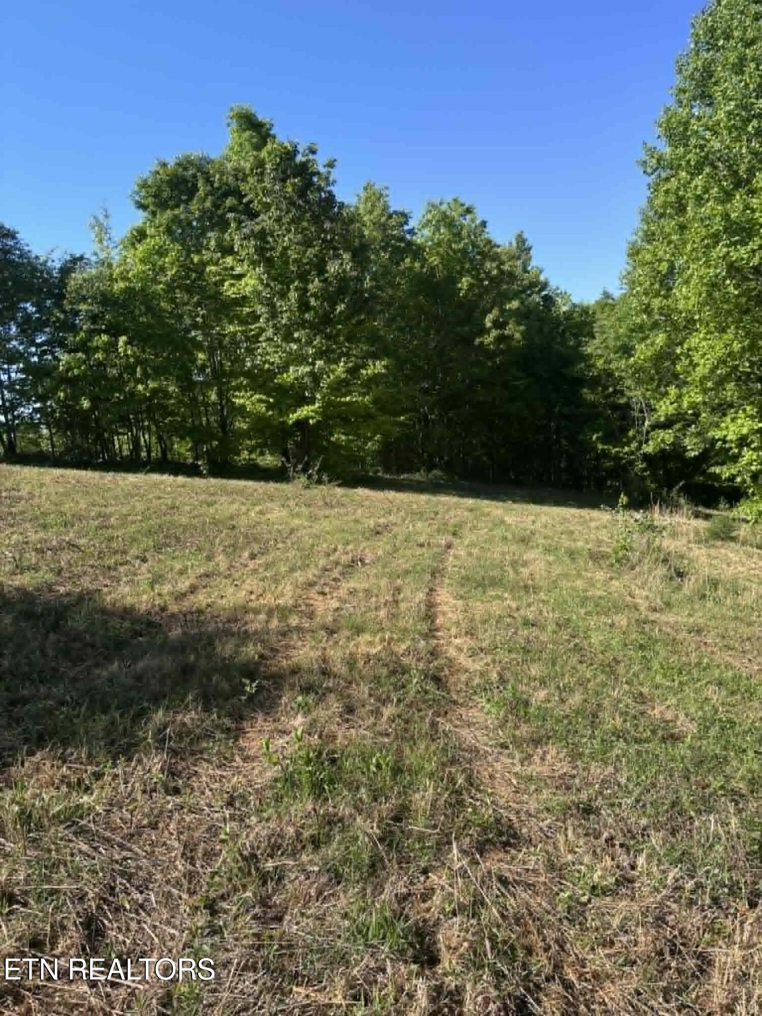 407 Earl Maples Lane Tazewell TN 37879
