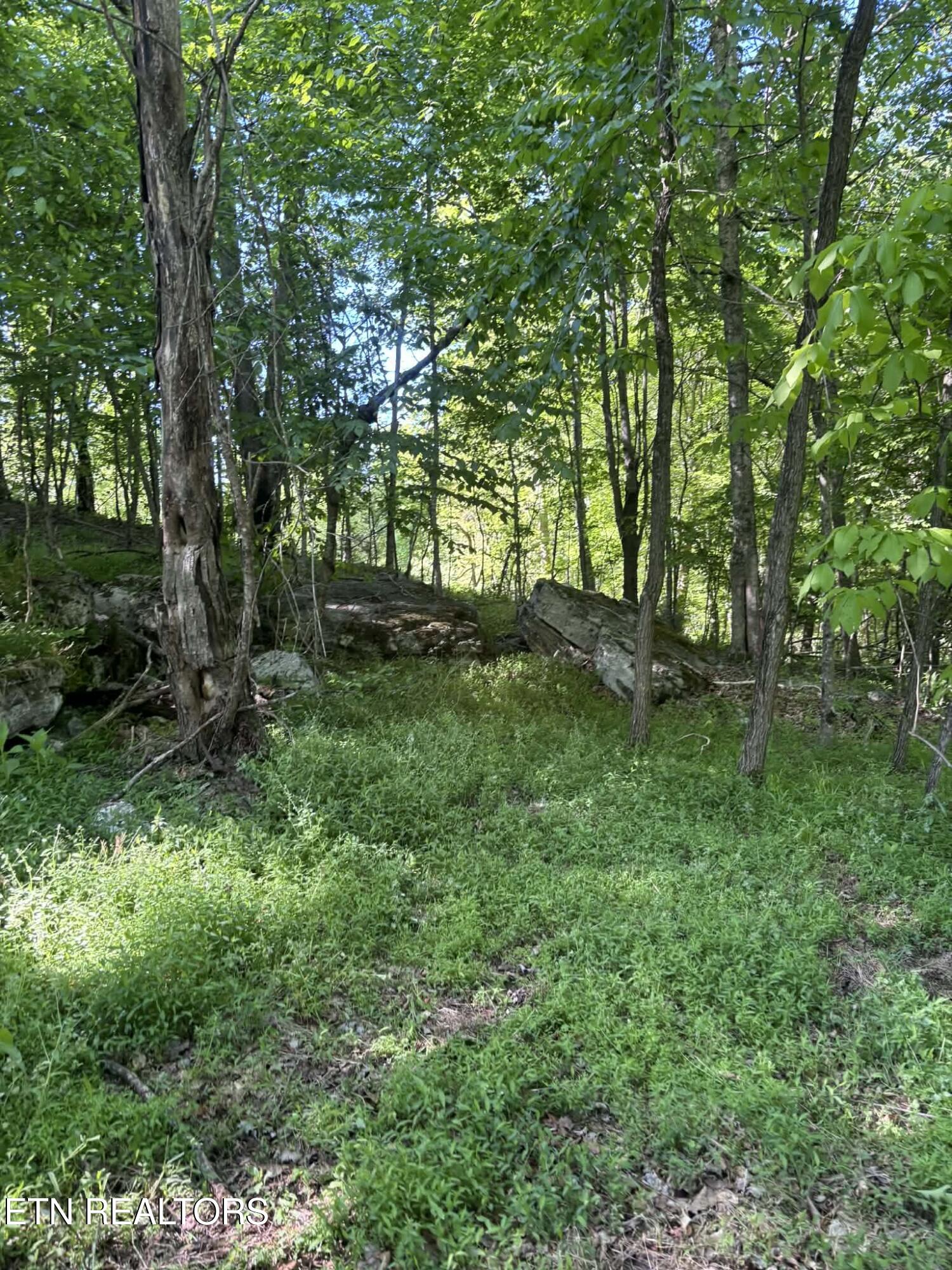 407 Earl Maples Lane Tazewell TN 37879