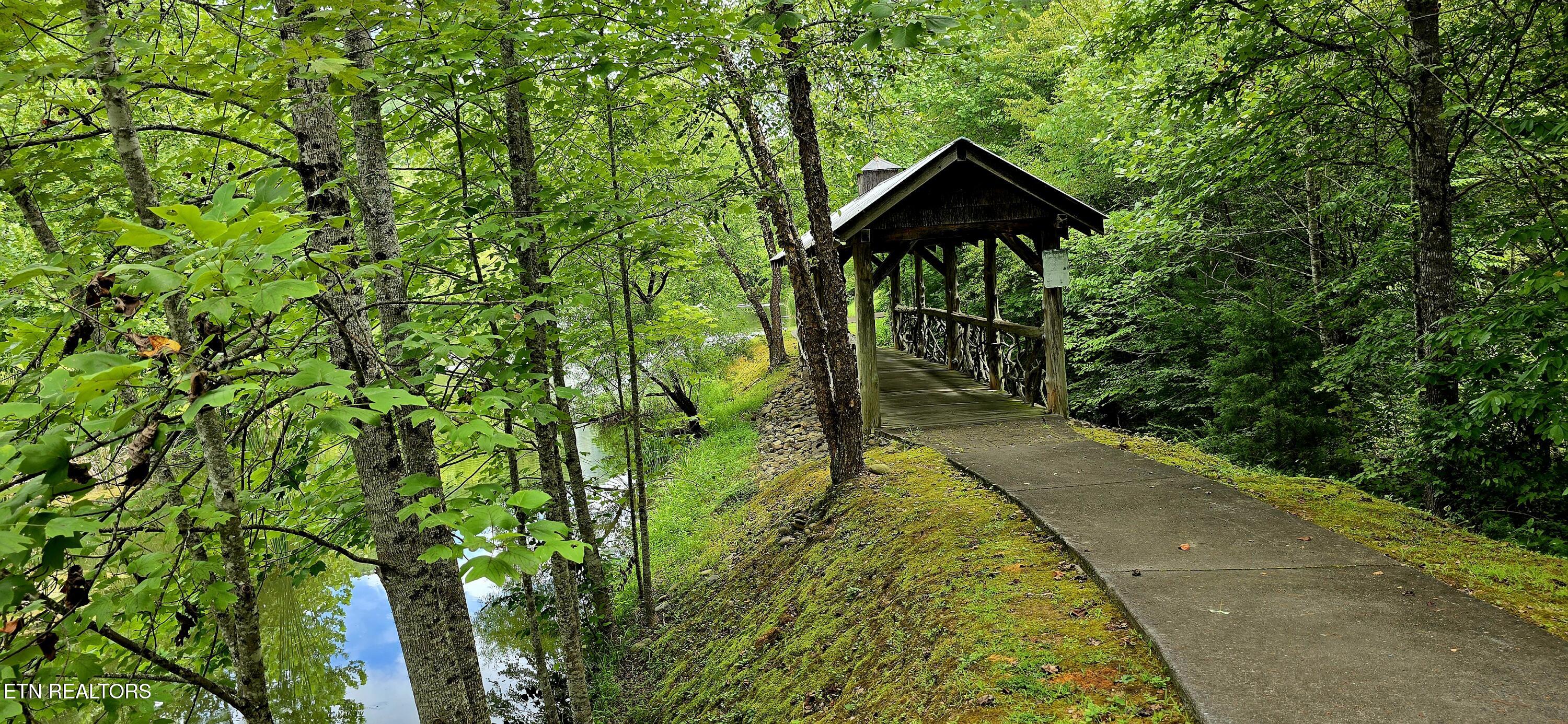 491 Chetola Trail Townsend TN 37882