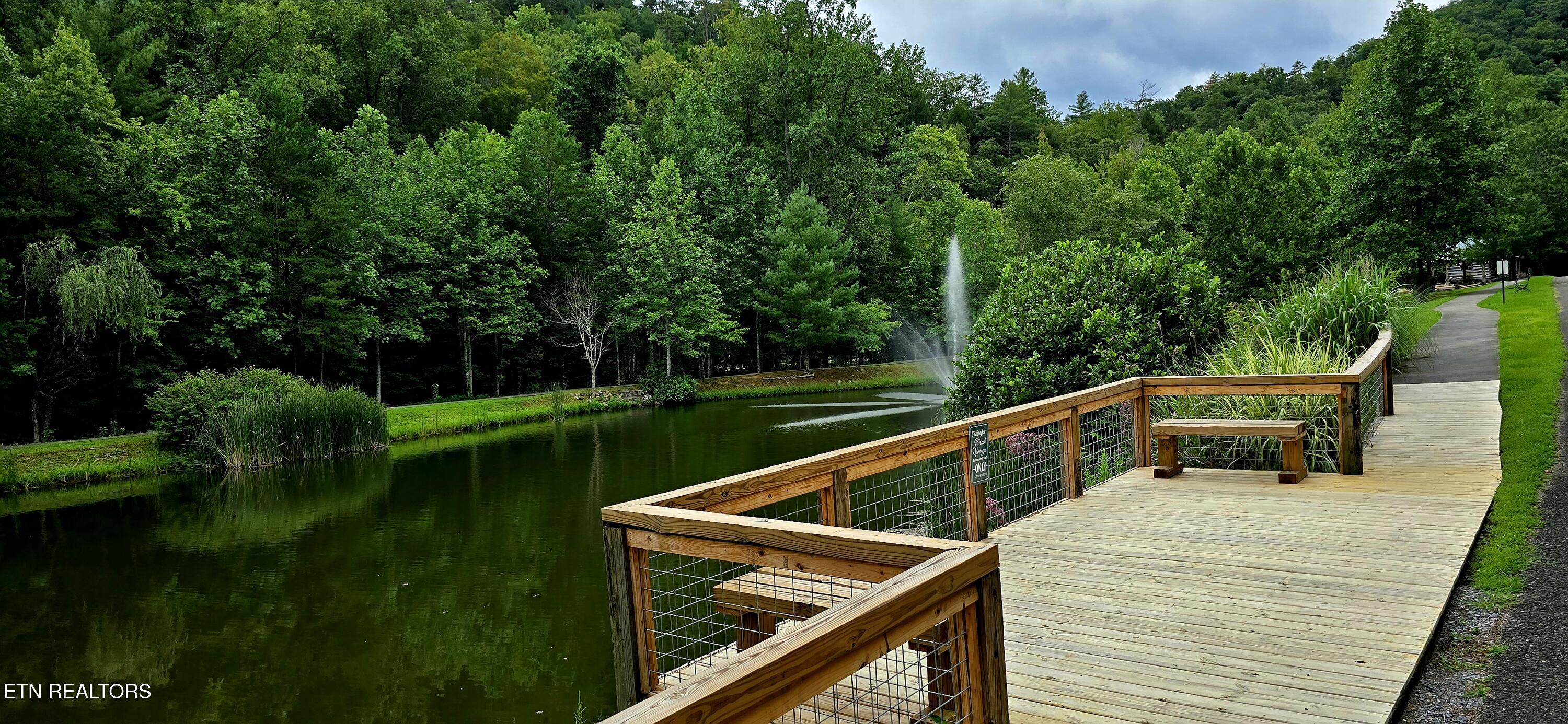 491 Chetola Trail Townsend TN 37882