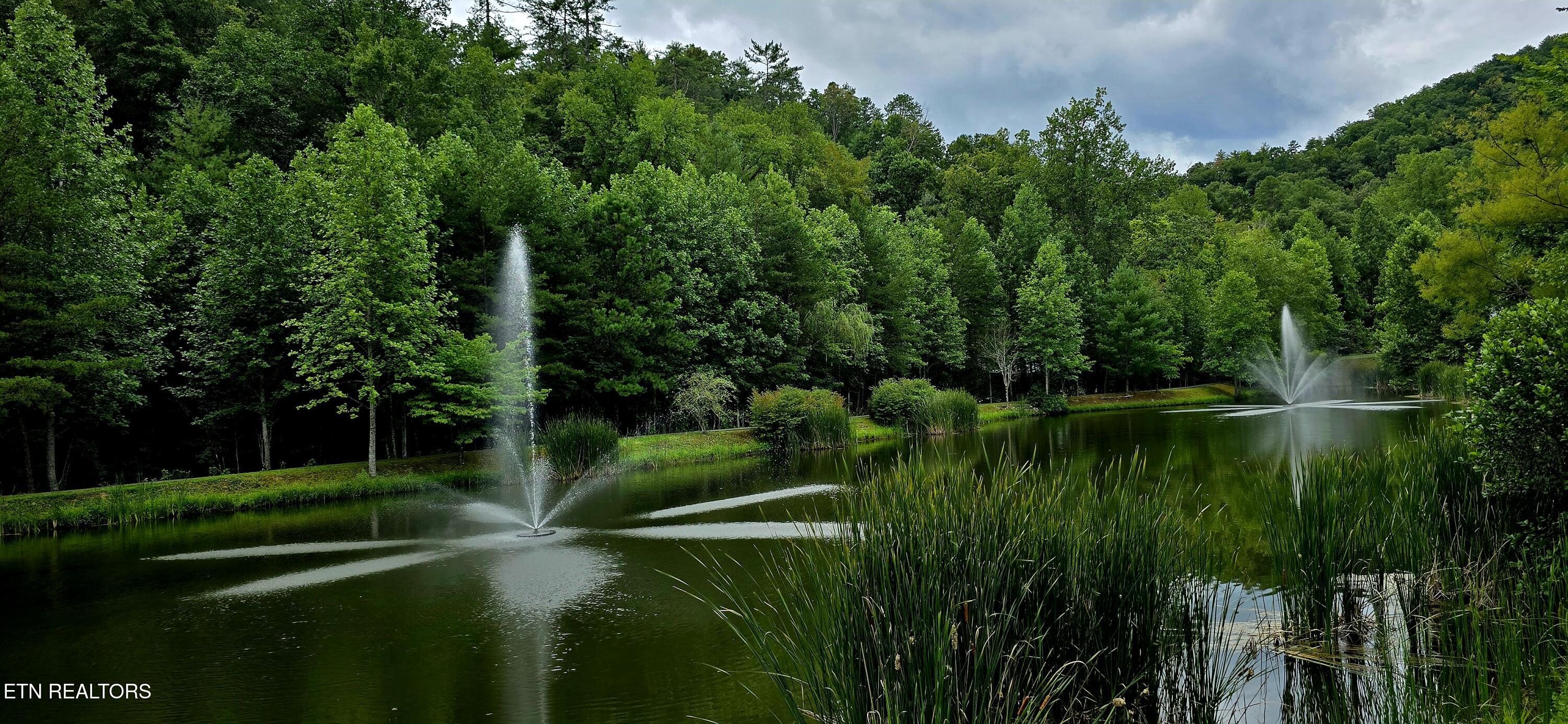 491 Chetola Trail Townsend TN 37882