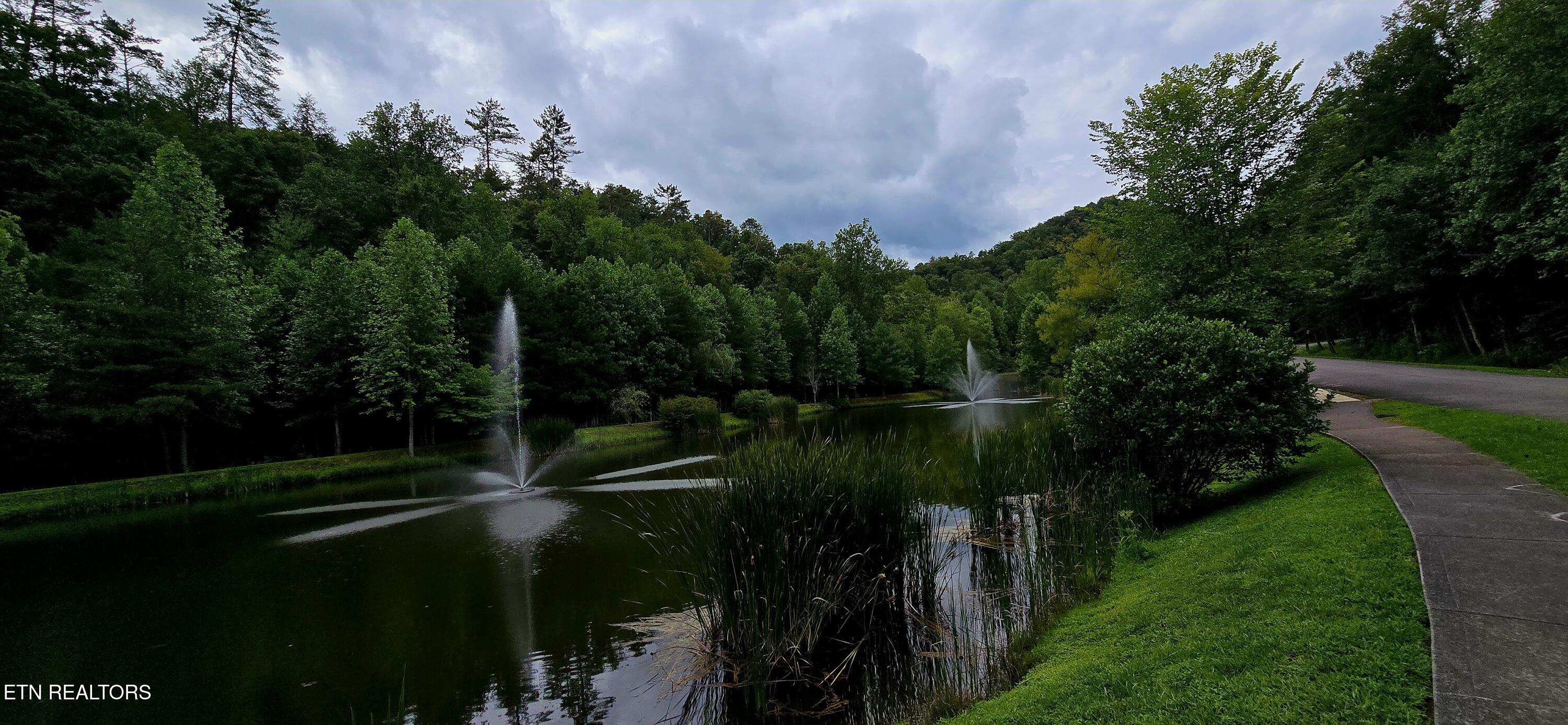 491 Chetola Trail Townsend TN 37882