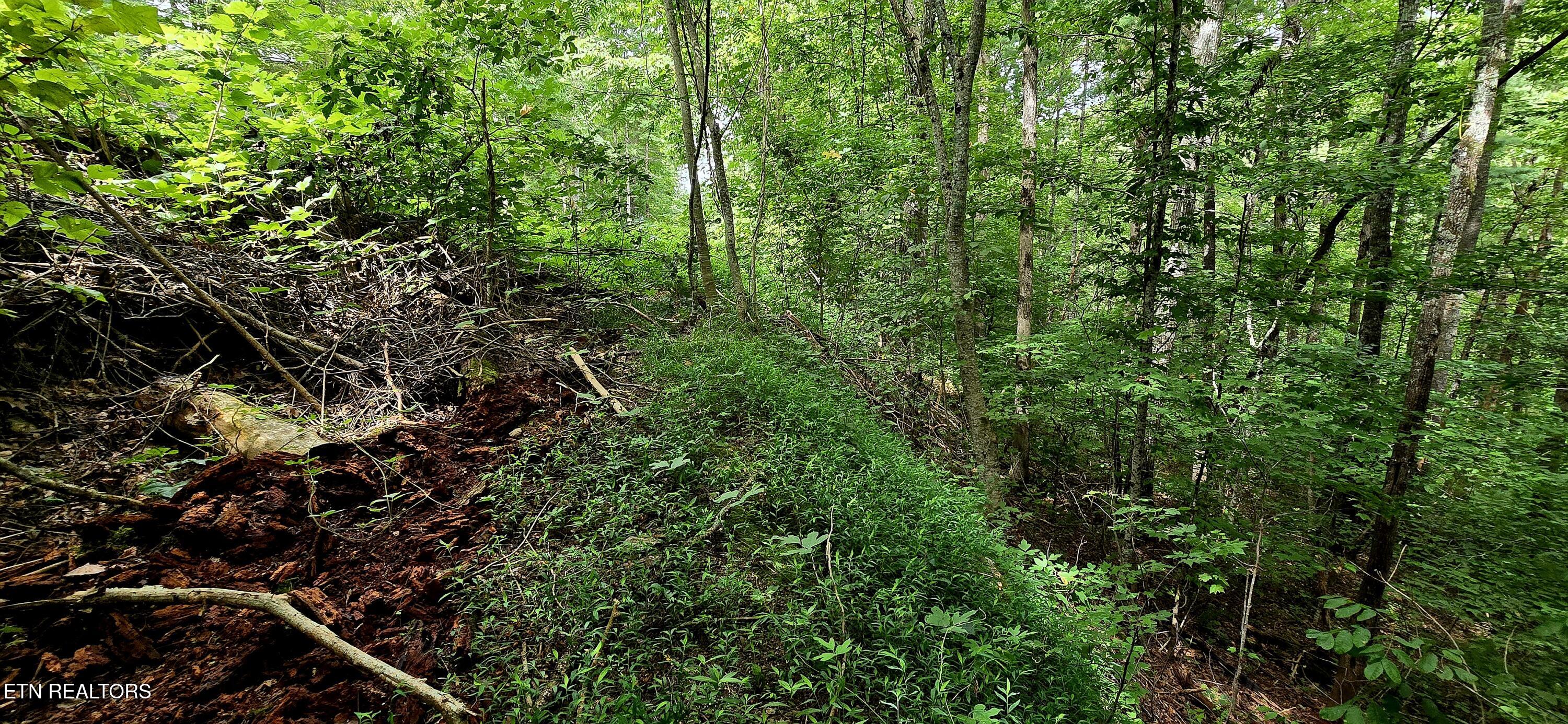 491 Chetola Trail Townsend TN 37882