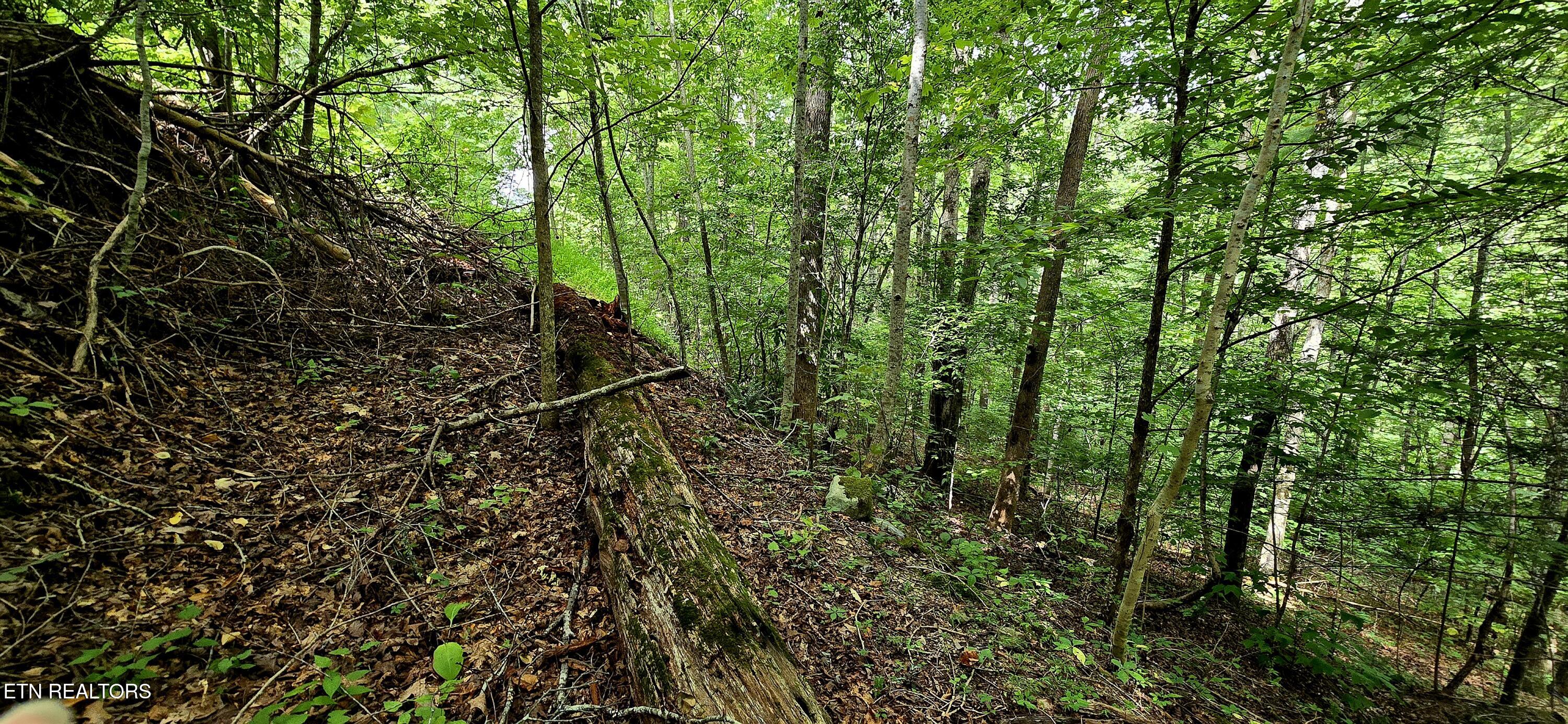 491 Chetola Trail Townsend TN 37882