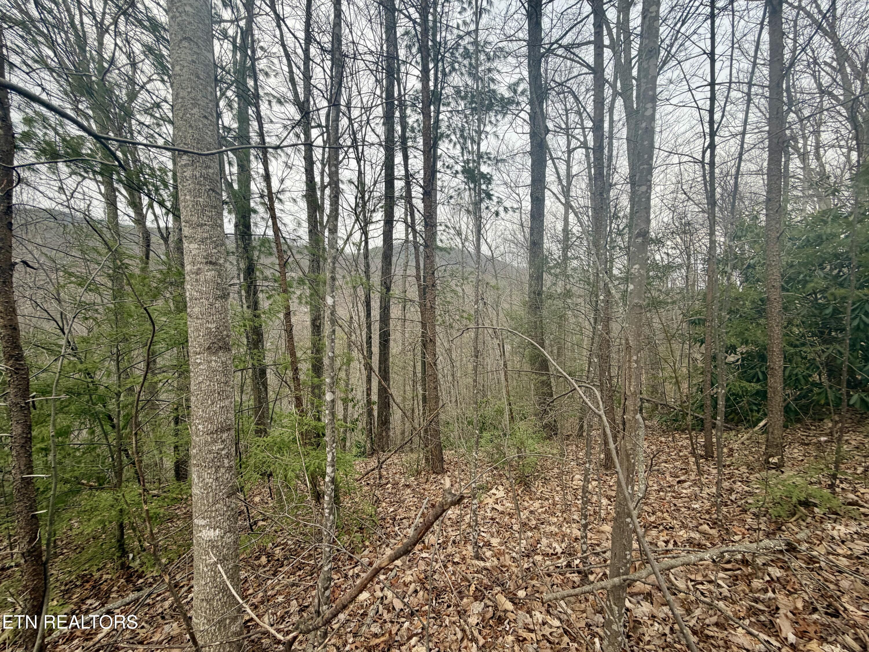 Thissa Way Gatlinburg TN 37738
