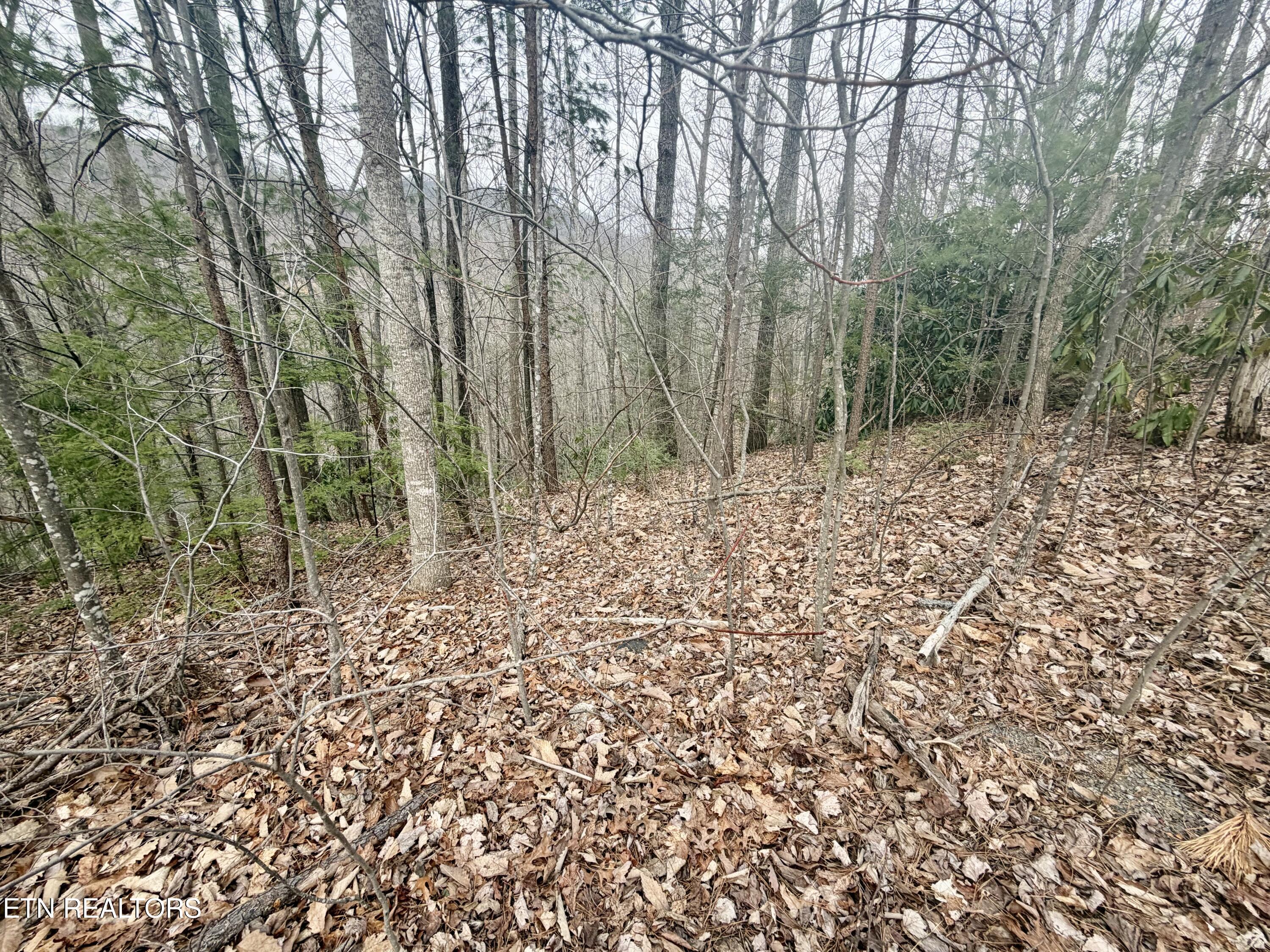 Thissa Way Gatlinburg TN 37738