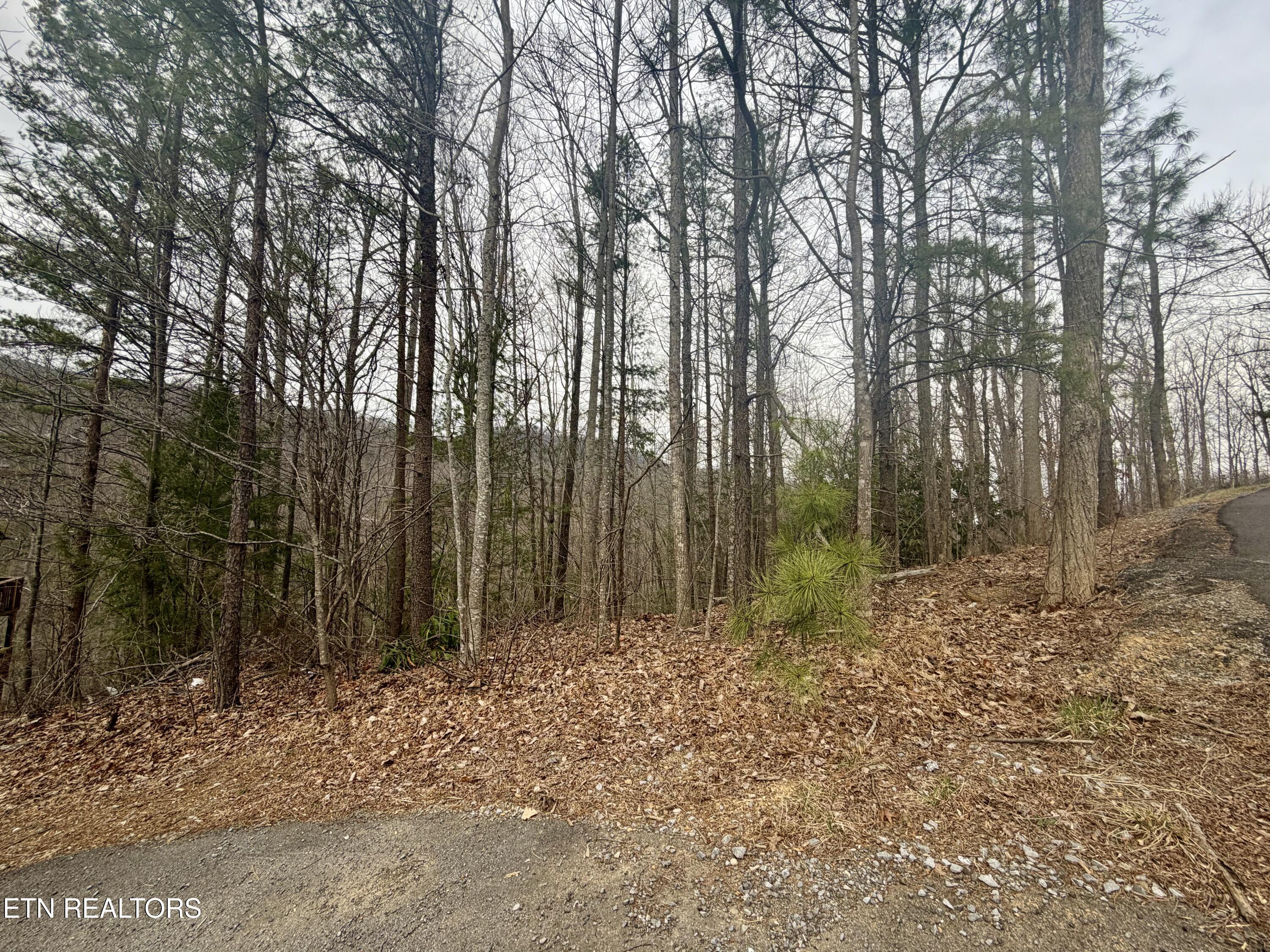 Thissa Way Gatlinburg TN 37738