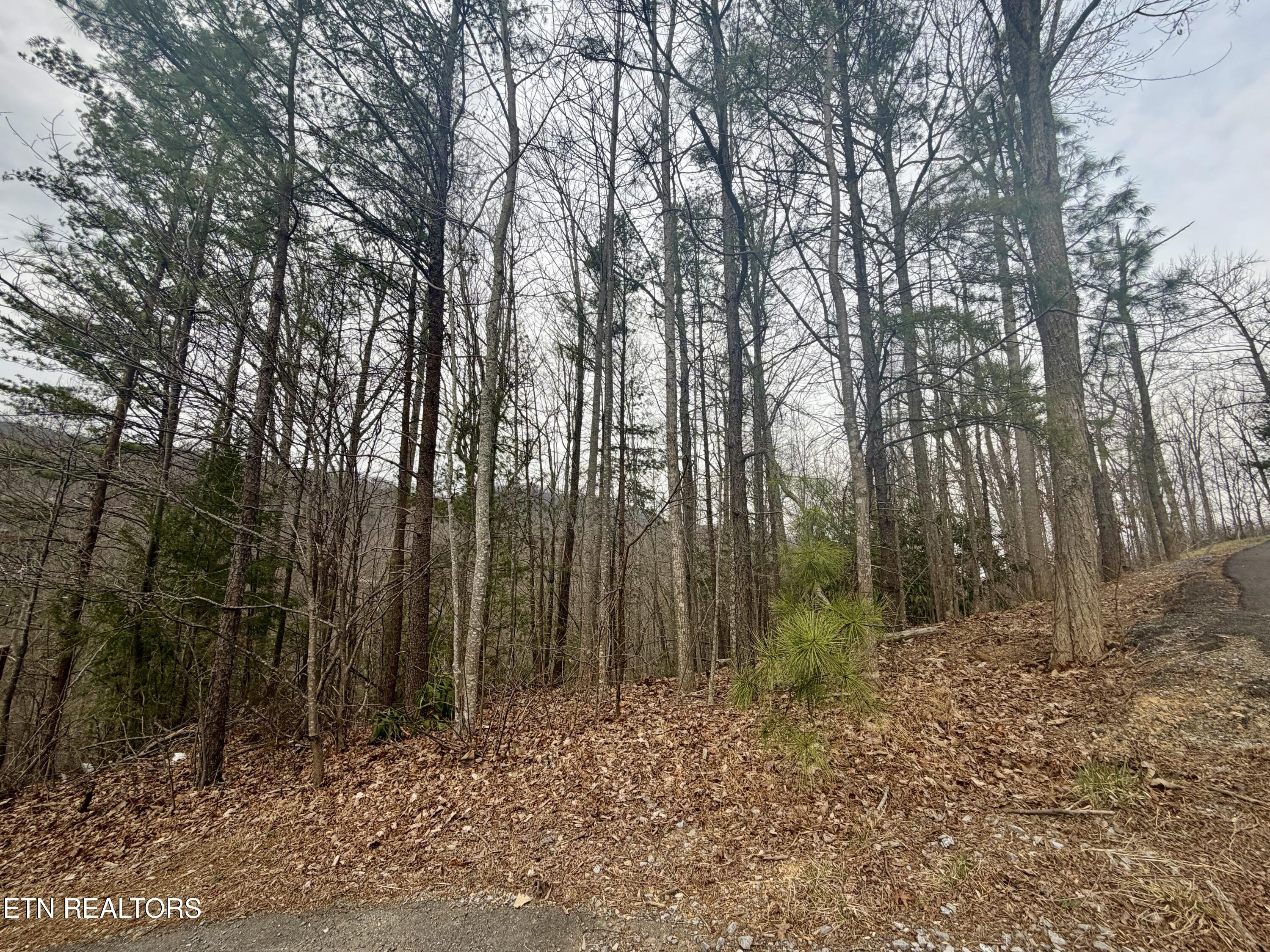 Thissa Way Gatlinburg TN 37738