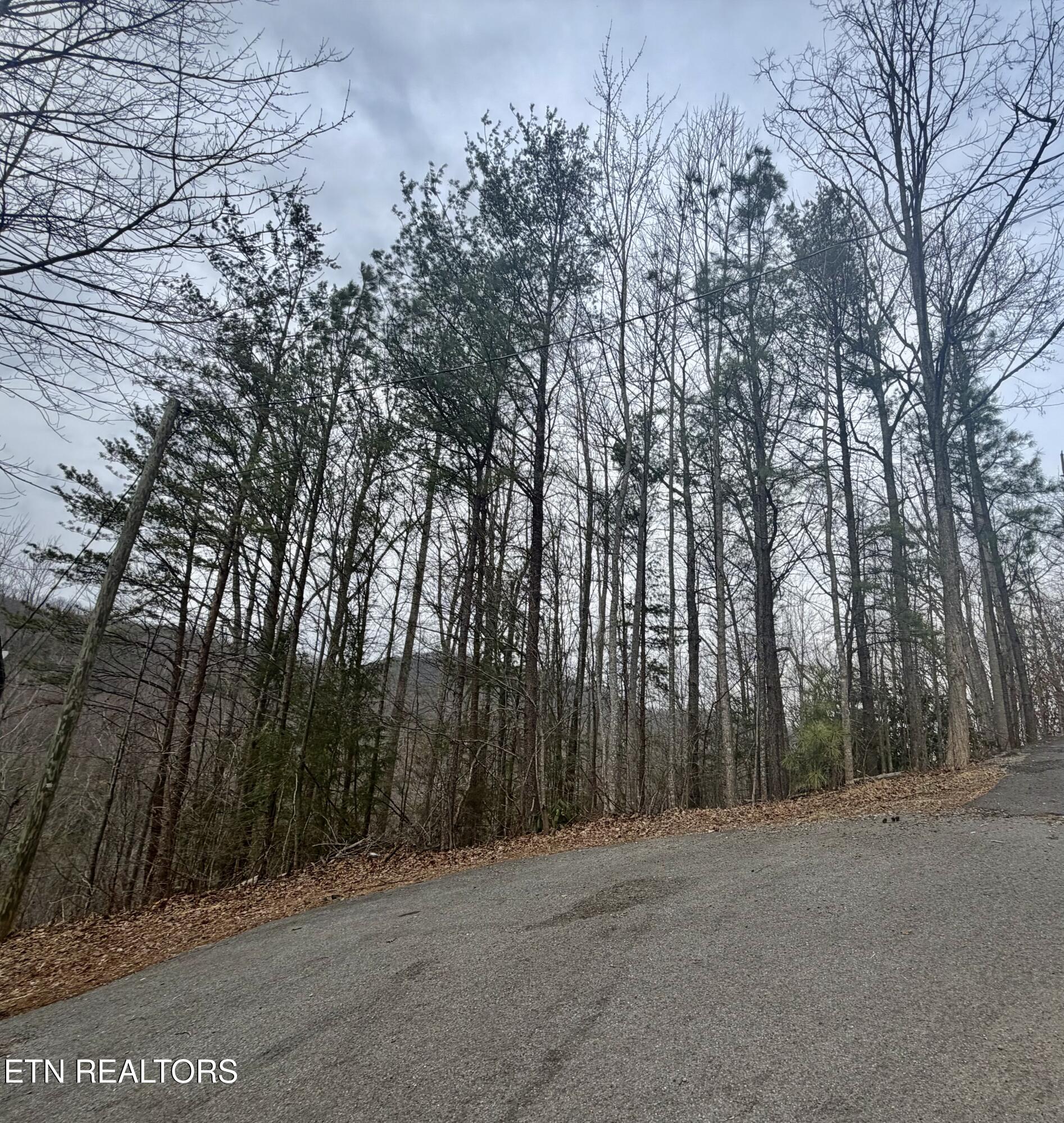 Thissa Way Gatlinburg TN 37738