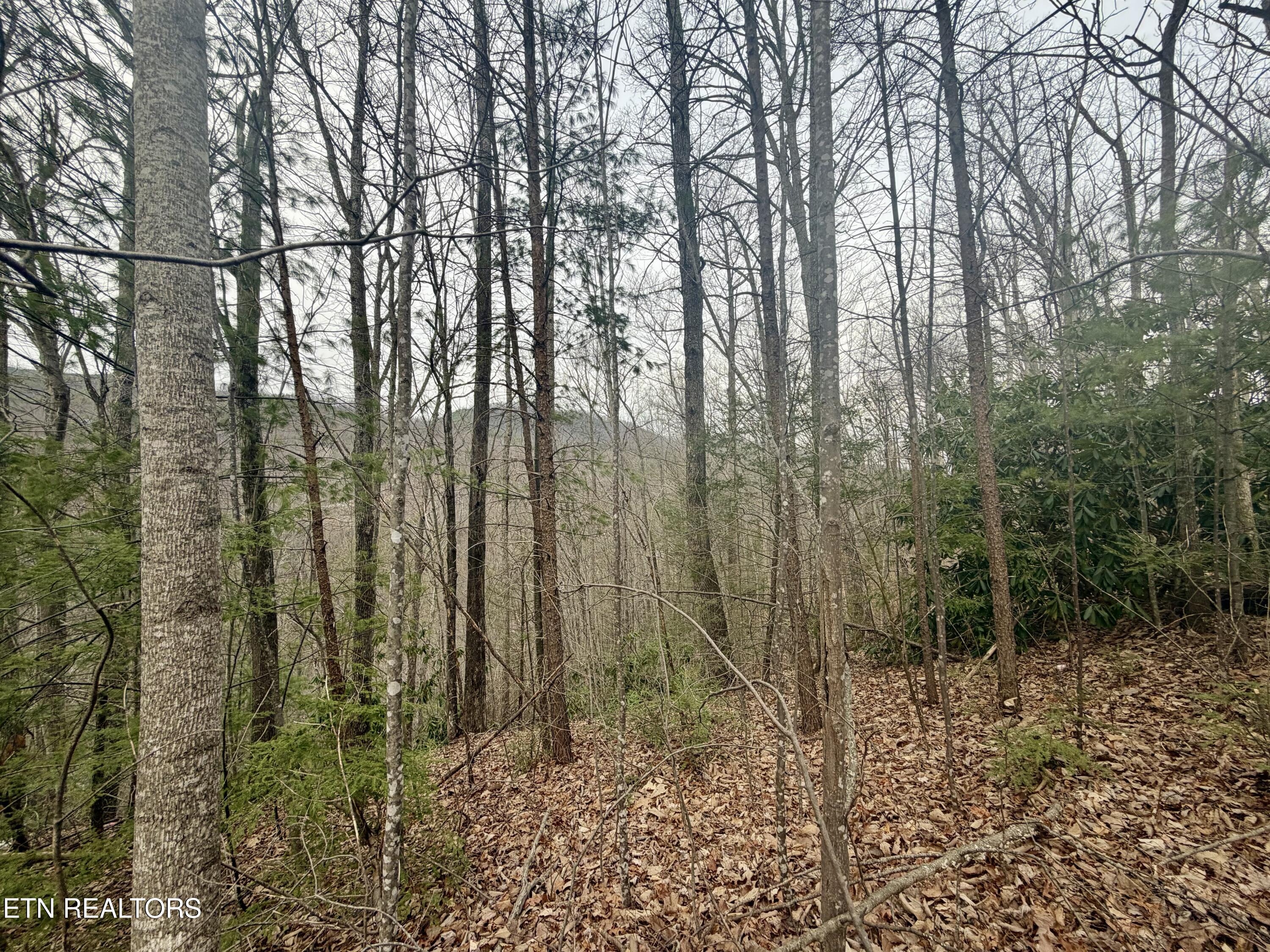 Thissa Way Gatlinburg TN 37738