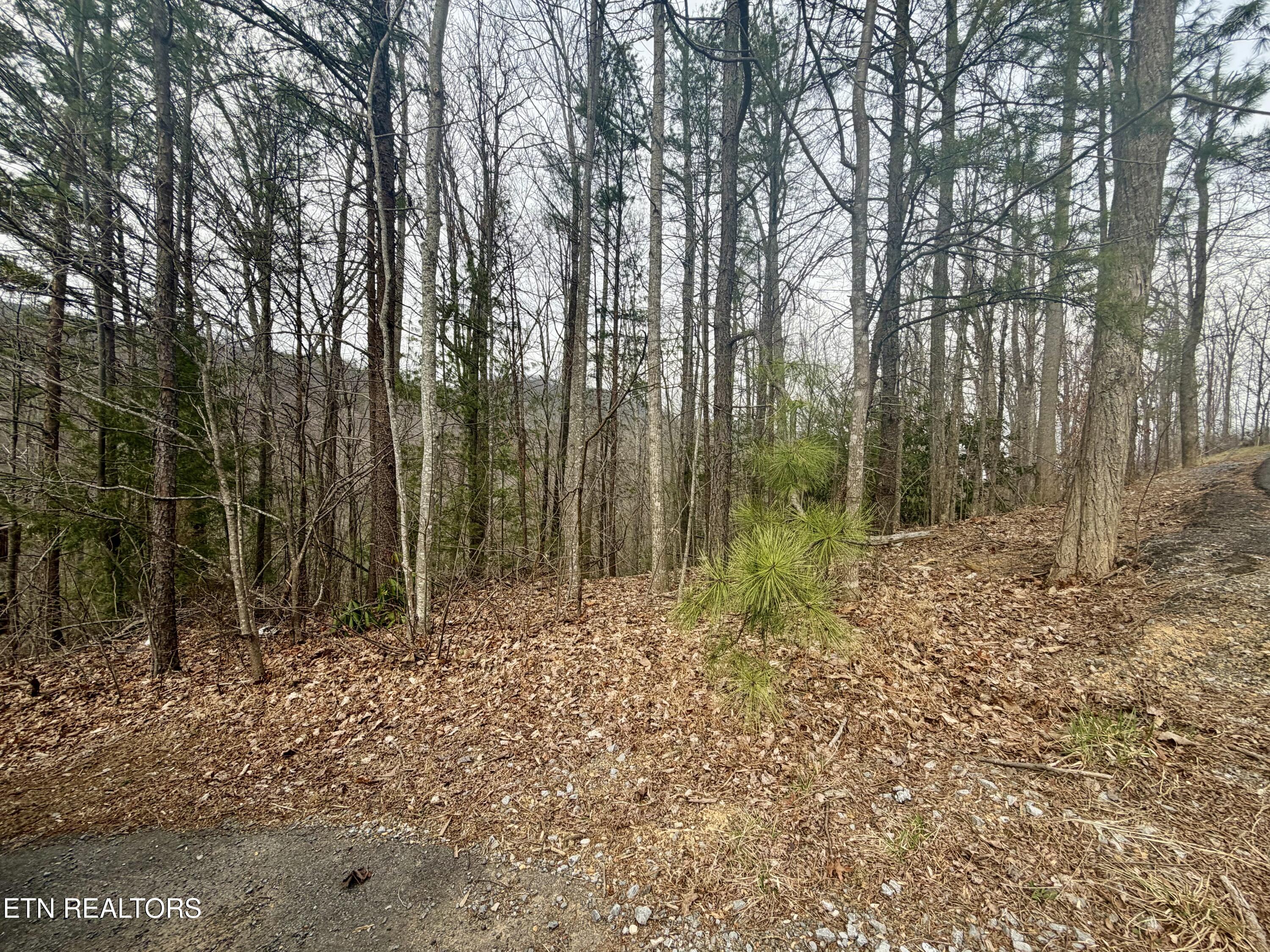 Thissa Way Gatlinburg TN 37738