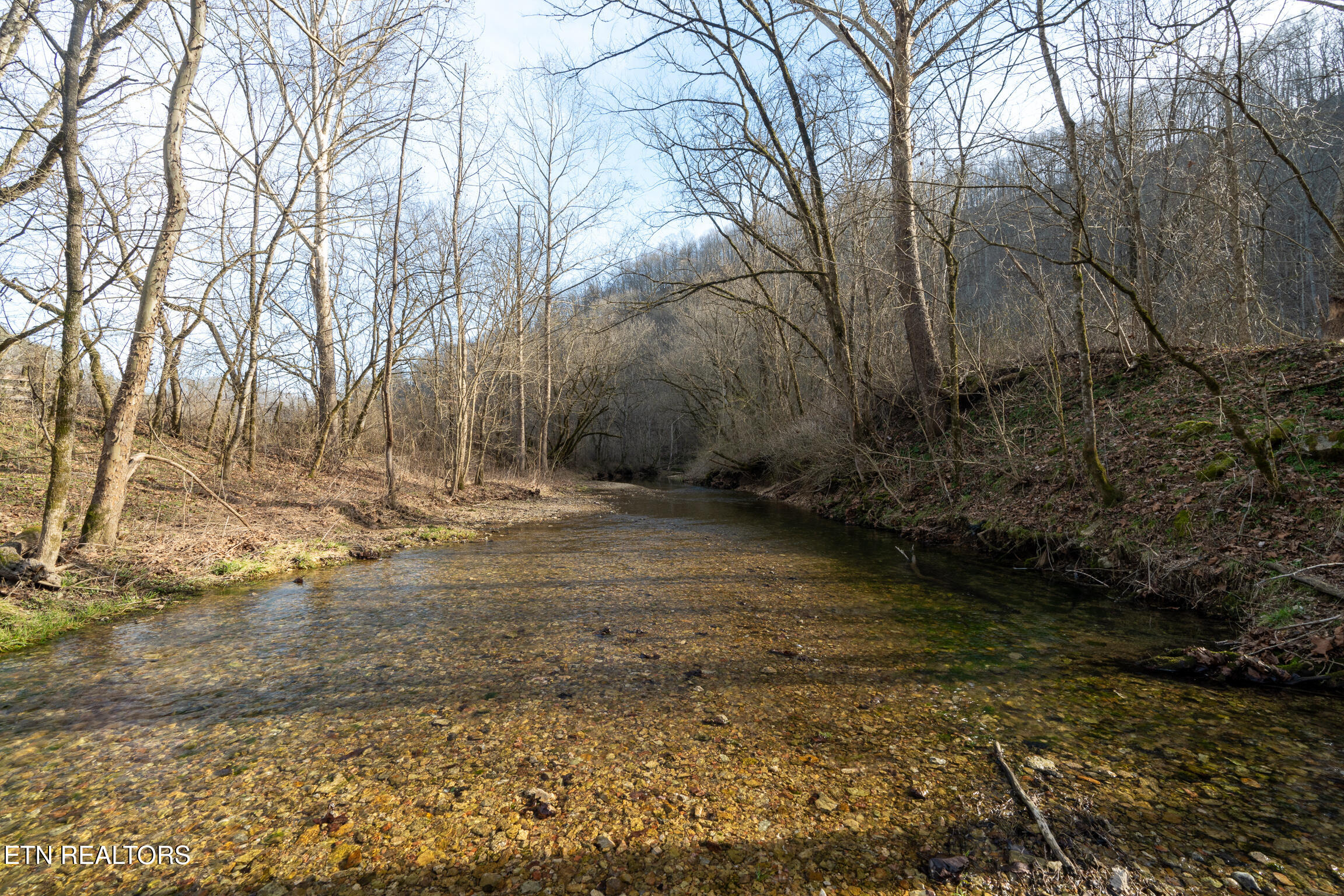 15.76 Ac Charlie Allen Lane Whitleyville TN 38588