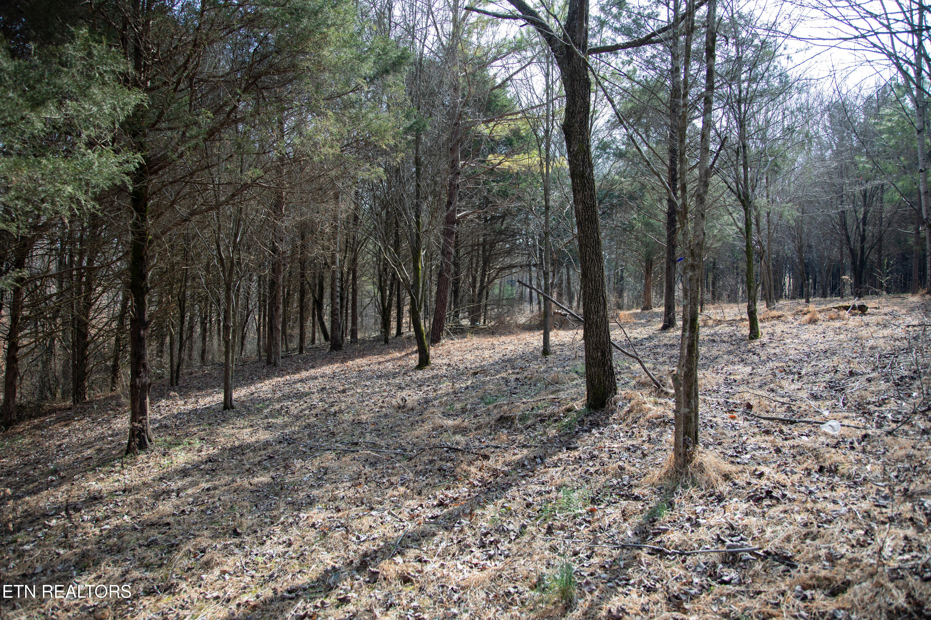 0 Tulip Lane Cookeville TN 38501