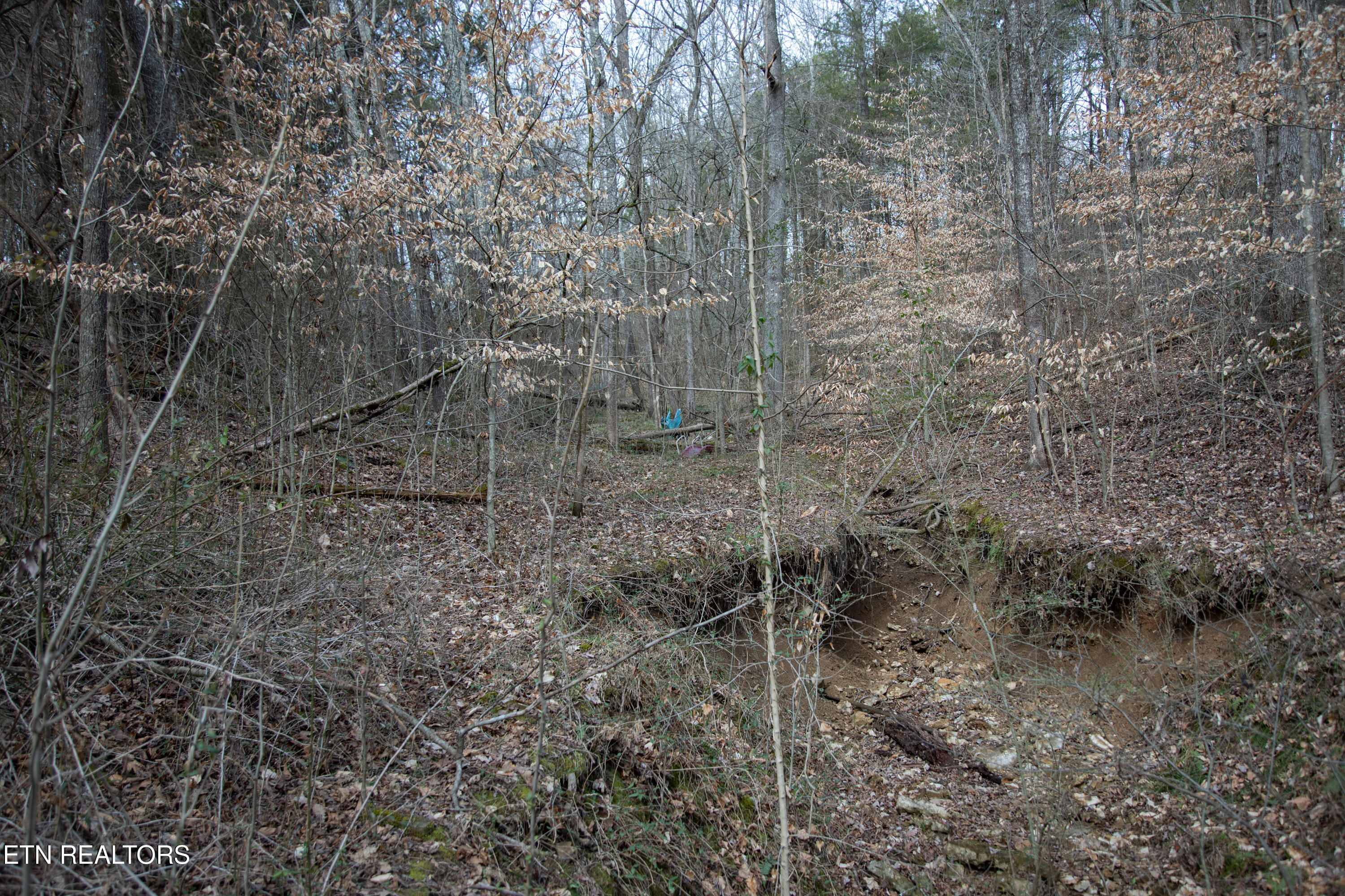 0 Tulip Lane Cookeville TN 38501