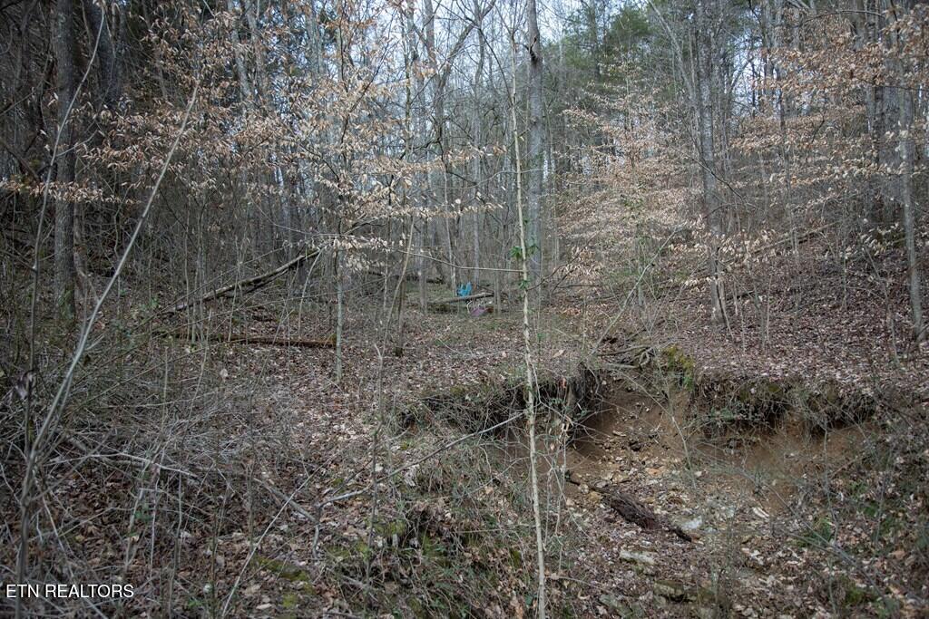 0 Tulip Lane Cookeville TN 38501