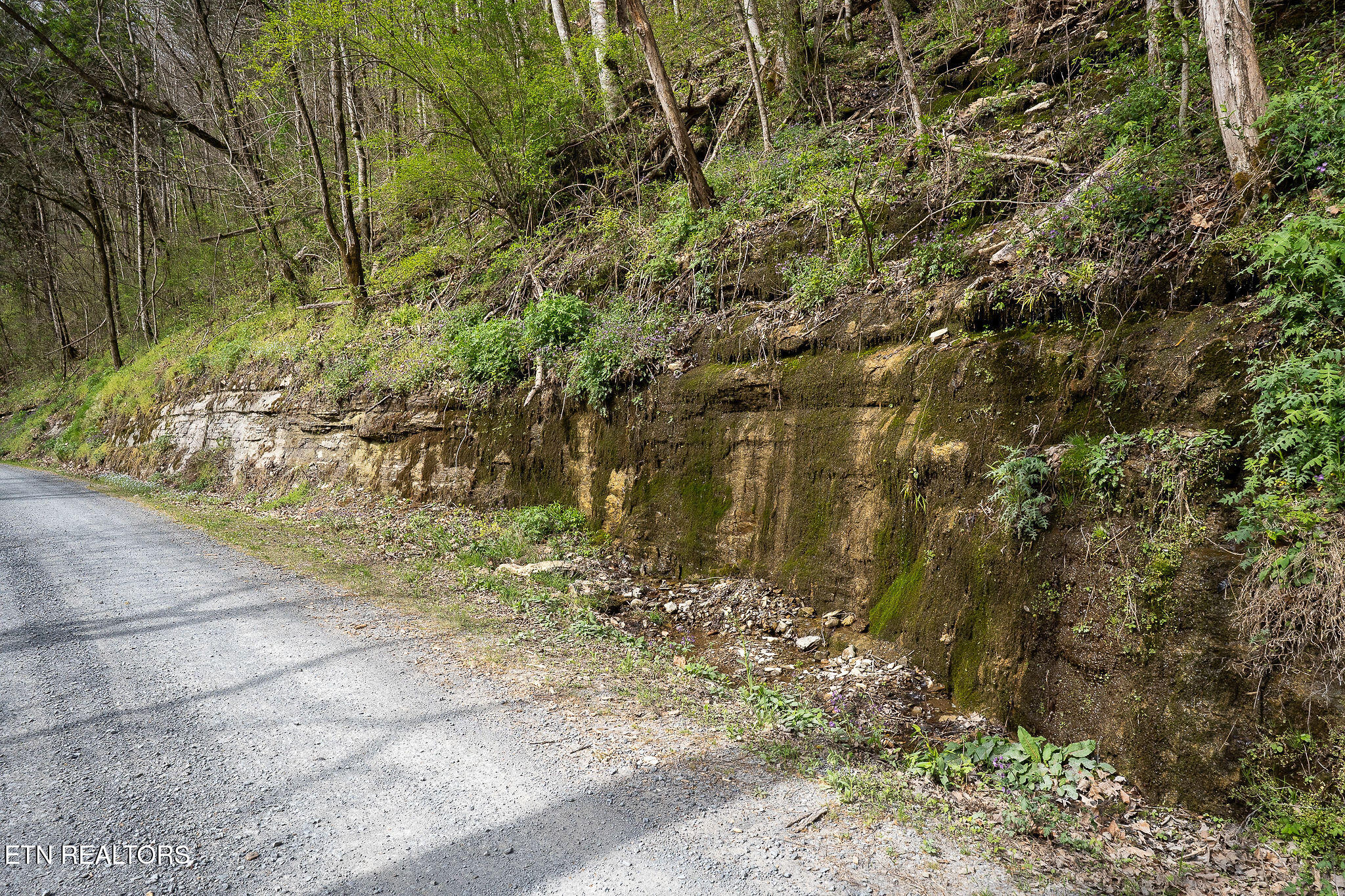 Hidden Springs Lane Cookeville TN 38501