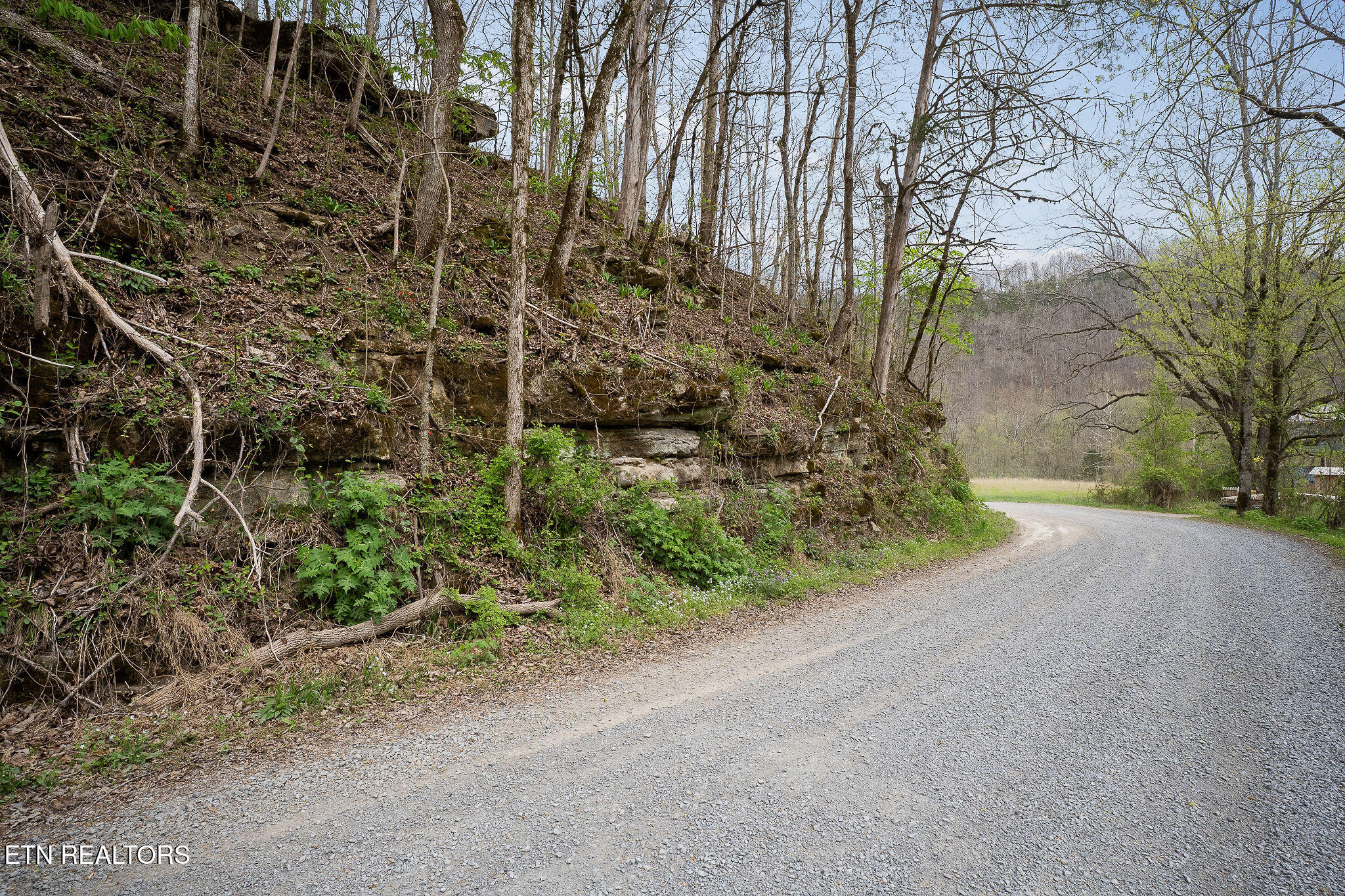 Hidden Springs Lane Cookeville TN 38501
