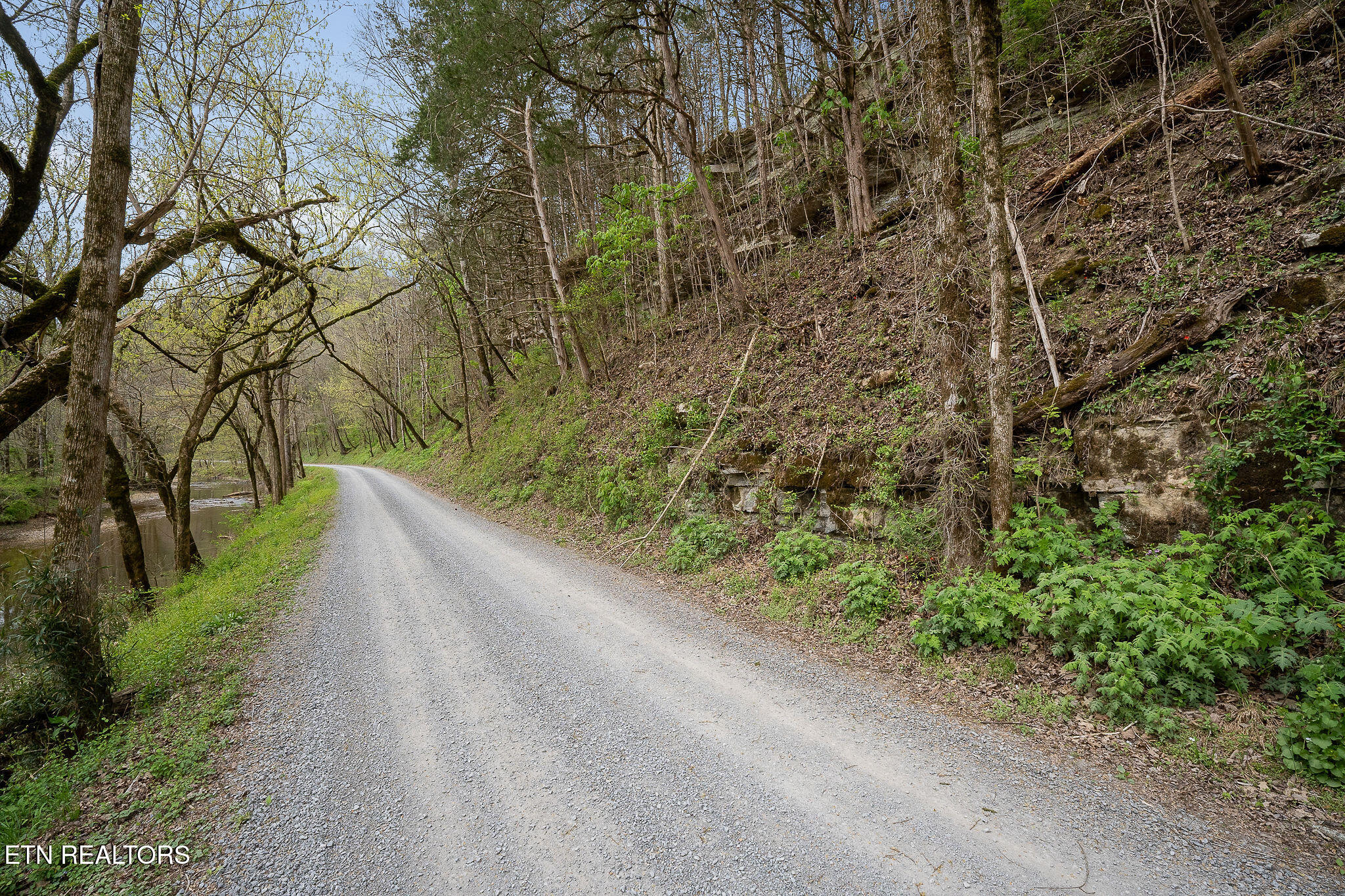 Hidden Springs Lane Cookeville TN 38501