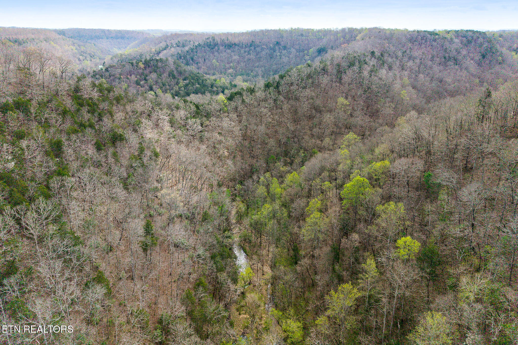 Hidden Springs Lane Cookeville TN 38501