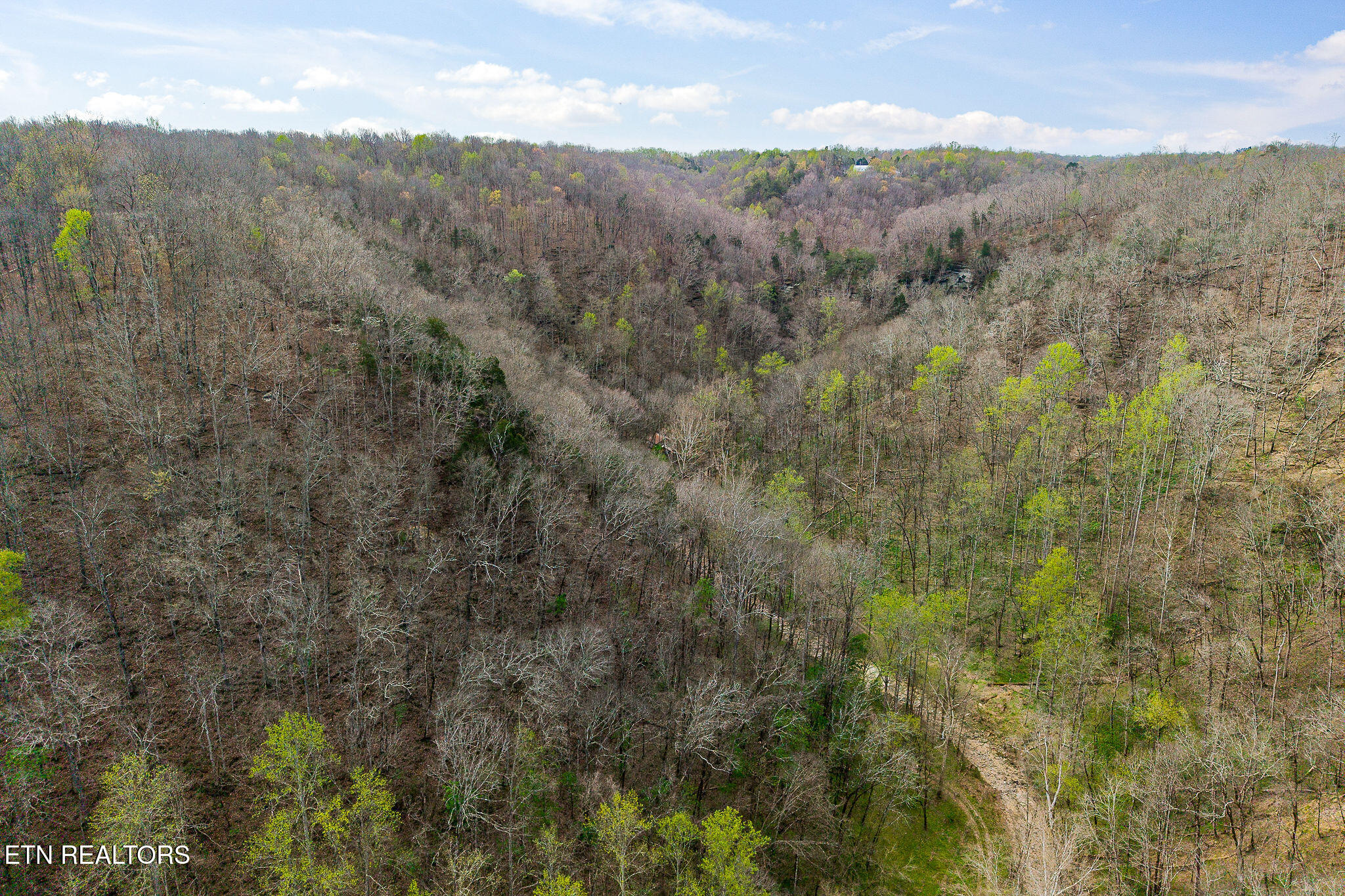 Hidden Springs Lane Cookeville TN 38501