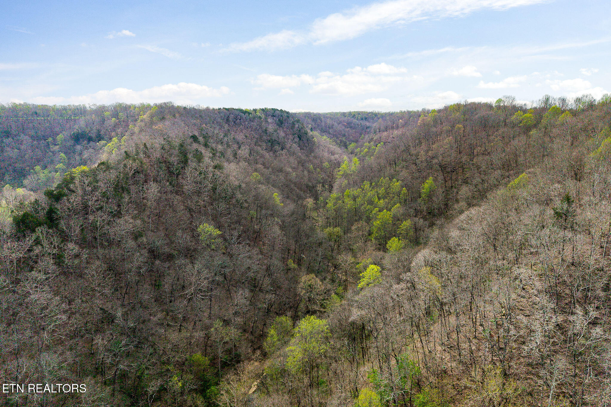 Hidden Springs Lane Cookeville TN 38501