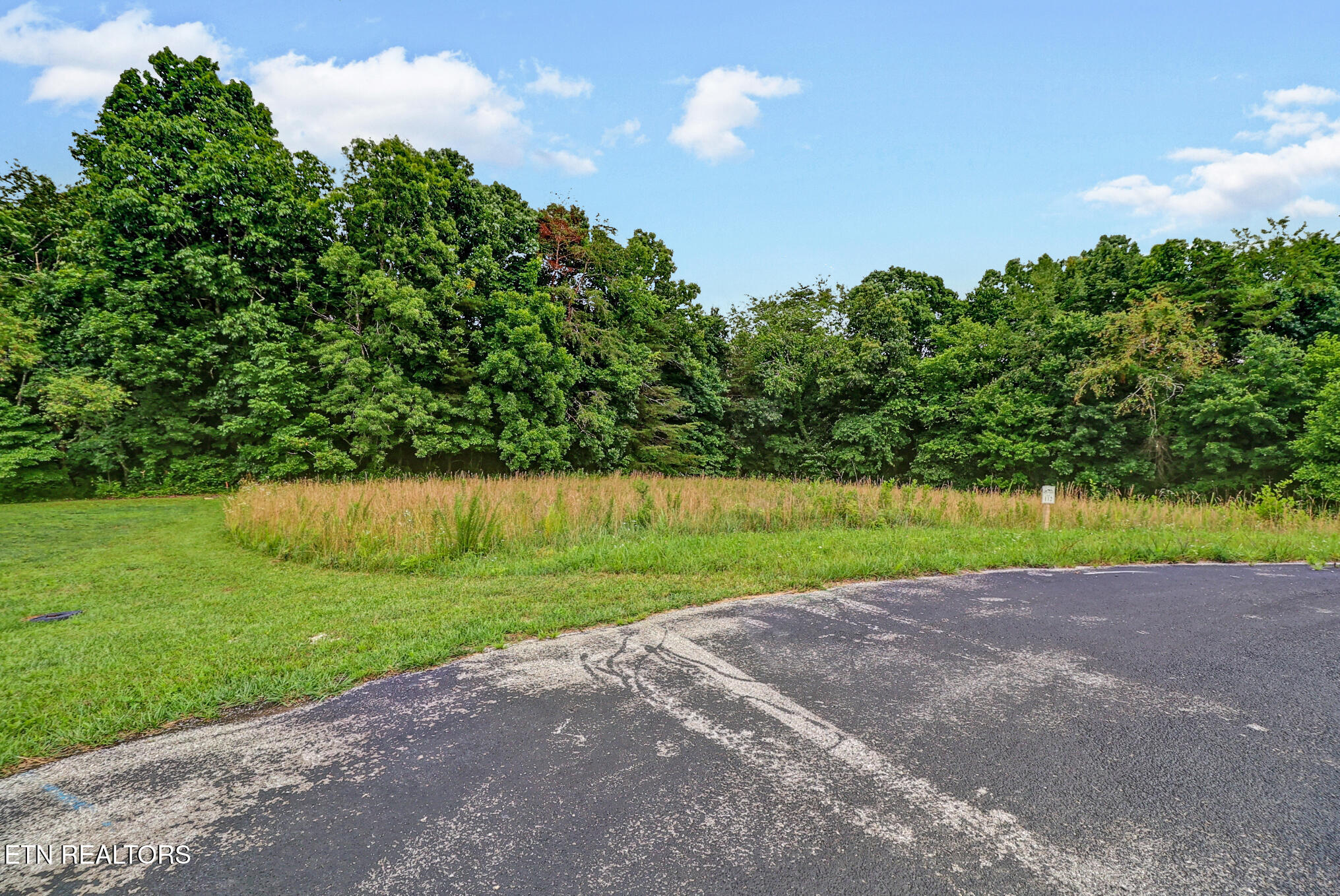 Suzie Court Crossville TN 38555