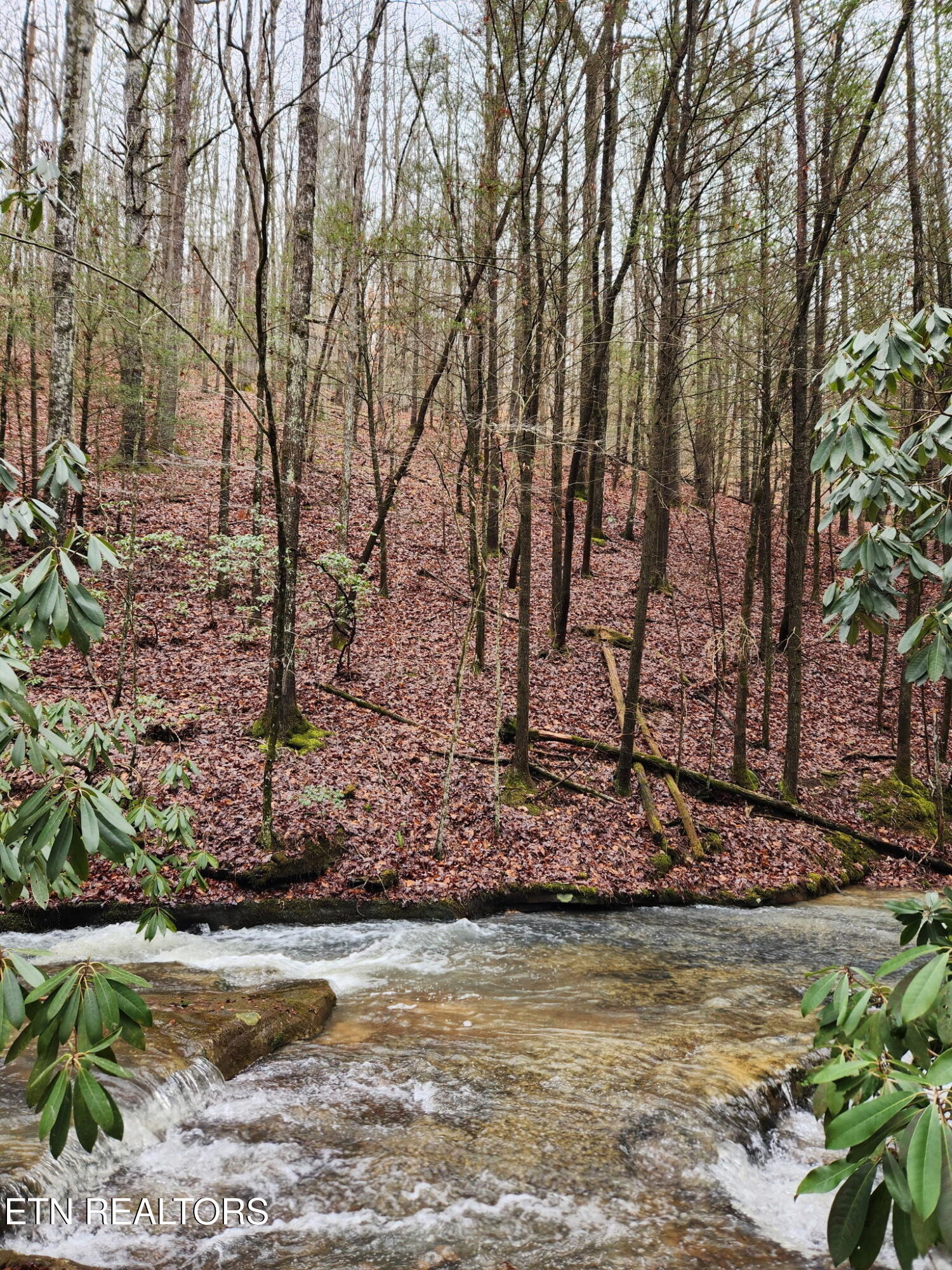 470 Bear Branch Road Wartburg TN 37887