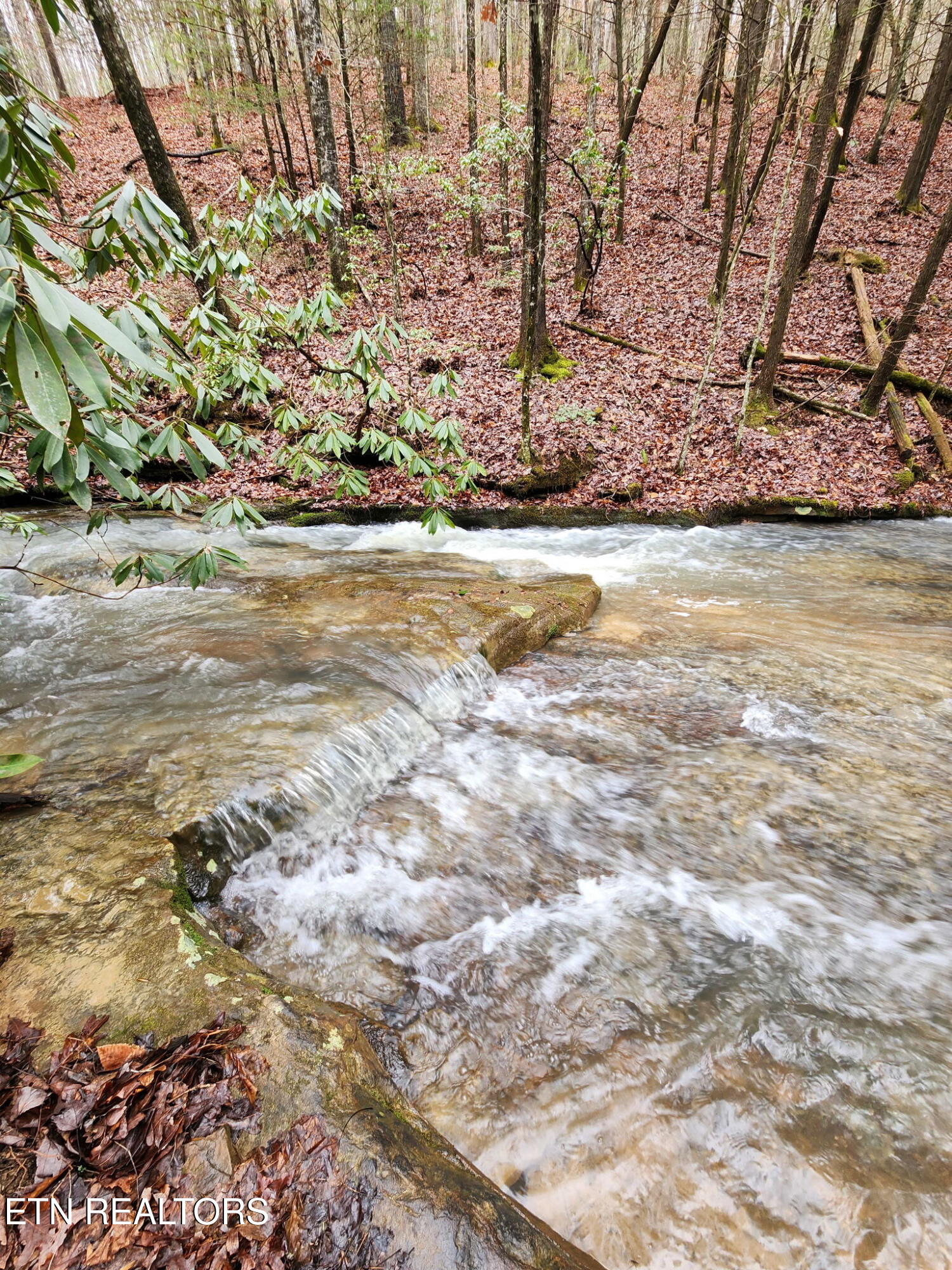 470 Bear Branch Road Wartburg TN 37887