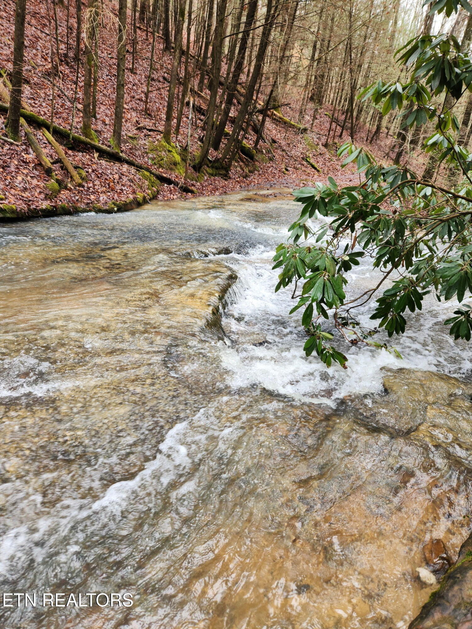470 Bear Branch Road Wartburg TN 37887