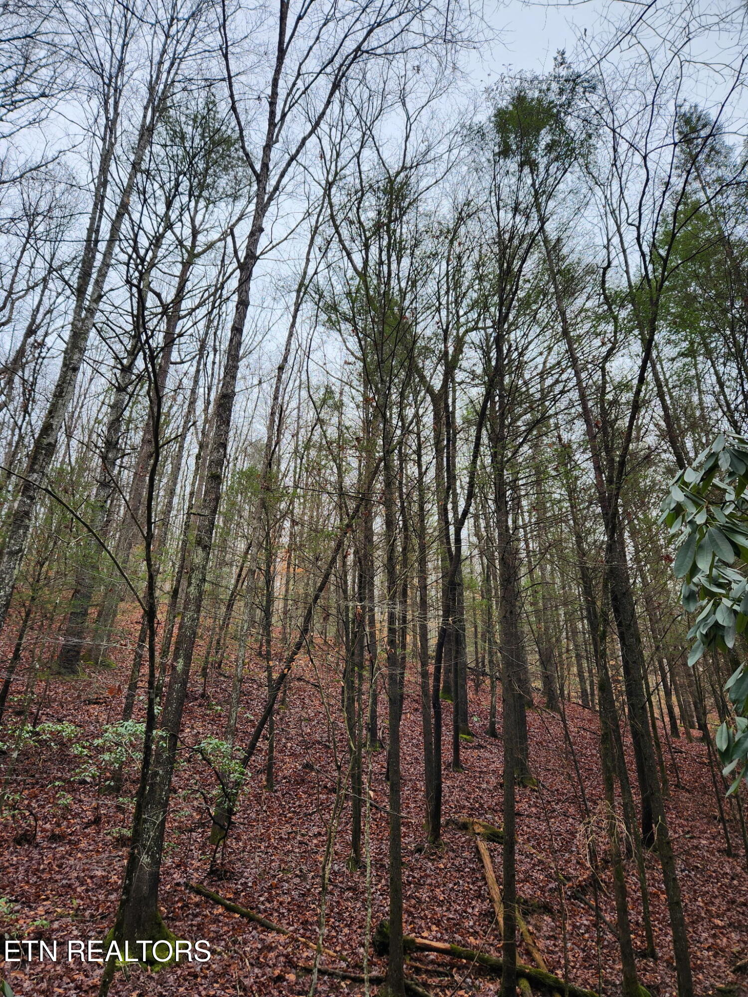 470 Bear Branch Road Wartburg TN 37887