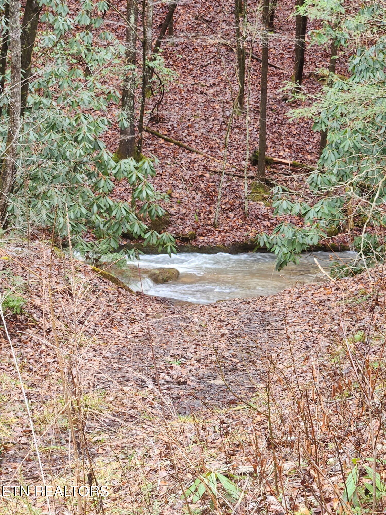 470 Bear Branch Road Wartburg TN 37887