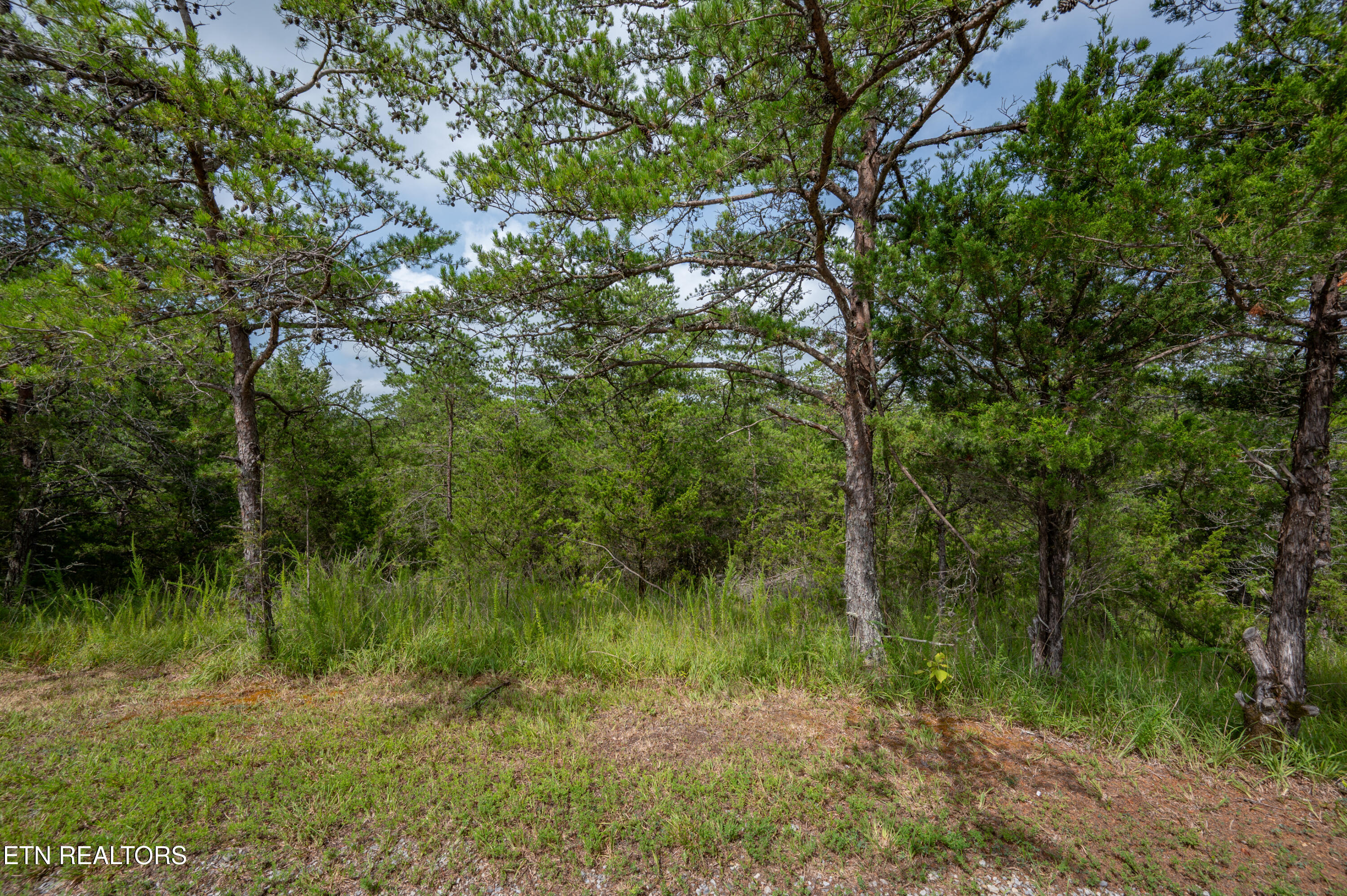 Lot 7 Parrotts Chapel Road Sevierville TN 37876