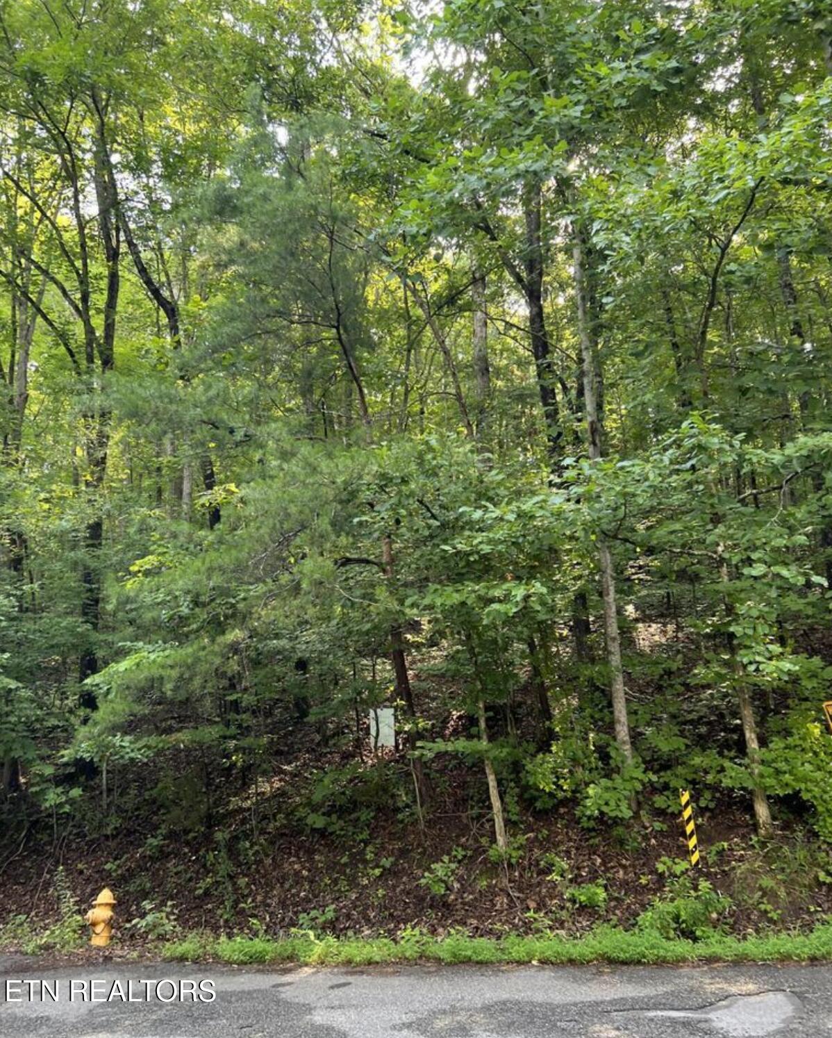 Lot 167 Laurel Lake Circle Madisonville TN 37354