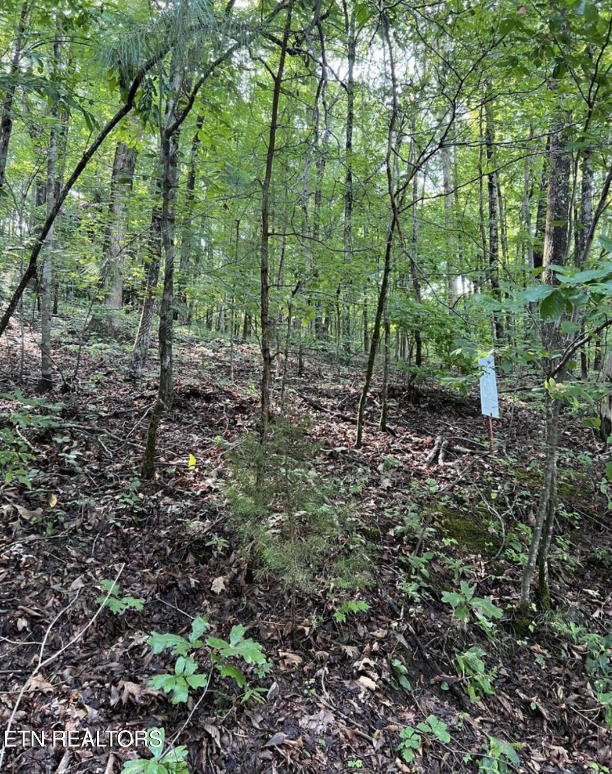 Lot 167 Laurel Lake Circle Madisonville TN 37354